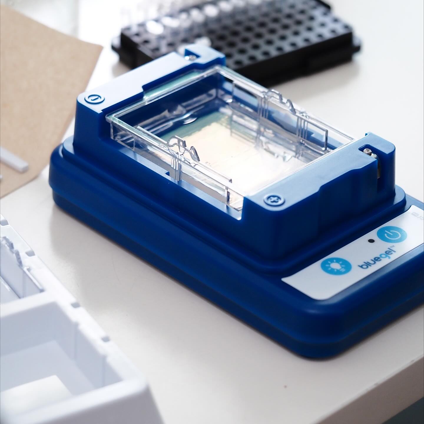Private In-House DNA Barcoding Training
Today we hosted a hands-on molecular training session for undergraduate students from UNJ – Biology, and graduate students from IPB – Aquatic Resource Management.
This training provided real lab experience on DNA barcoding workflows — empowering the next generation of molecular ecologists and biodiversity researchers.
#OceanogenLab #DNAbarcoding #MolecularEcology #BiodiversityScience #LabTraining #UNJ #IPB #eDNA #MolecularBiology