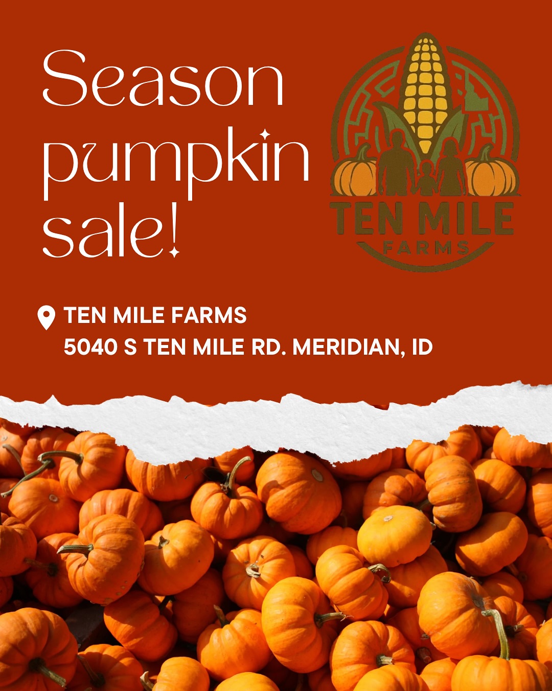 ๐ Pumpkin Sale Alert! ๐
Weโre wrapping up the season with the best pumpkin deals around at Ten Mile Farms! ๐ Whether youโre stocking up for baking, decorating, or just love that fall vibe โ weโve got you covered.
๐ Check out the graphic for pricing and details!
โจ Pie Pumpkins, Buckets of Pumpkins, or go big and fill a whole truck bed!
๐Come out to Ten Mile Farms and grab your pumpkins before theyโre gone!
๐ Call 208-358-9052 to schedule large pickups.
#PumpkinSale #TenMileFarms #FallVibes #PumpkinPatch #SupportLocal #FarmFreshFun
