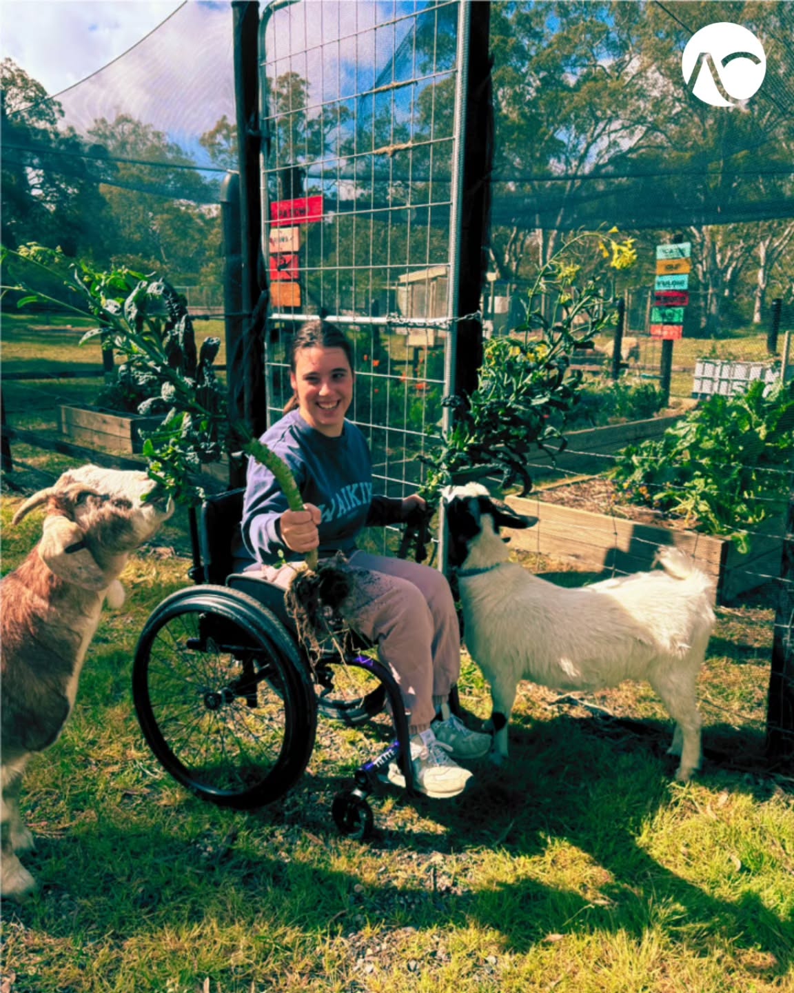 Three teammates, one goal: A thriving garden! 🐐🌱
.
.
.
.
.
.
.
.
.
.
#registeredprovider #NDIS #UnleashCreativity #BreakingBarriers #SupportingTalent #abilitynotdisability #disabilityservicesadelaide #communitysupport #autismawareness #disabilitysupport #ndisadelaide #smallbusinessaustralia #dayoptions #farmlife #gardeningaustralia #ndissupport #communityaccess #smallbusinessadelaide #smallbusinessowner #supportworker #disabilityinclusion #attunedcare #adelaidedisabilitycare #disabilityservicesadelaide #myadventures #ndis #ndisprovider #gosouthgolocal