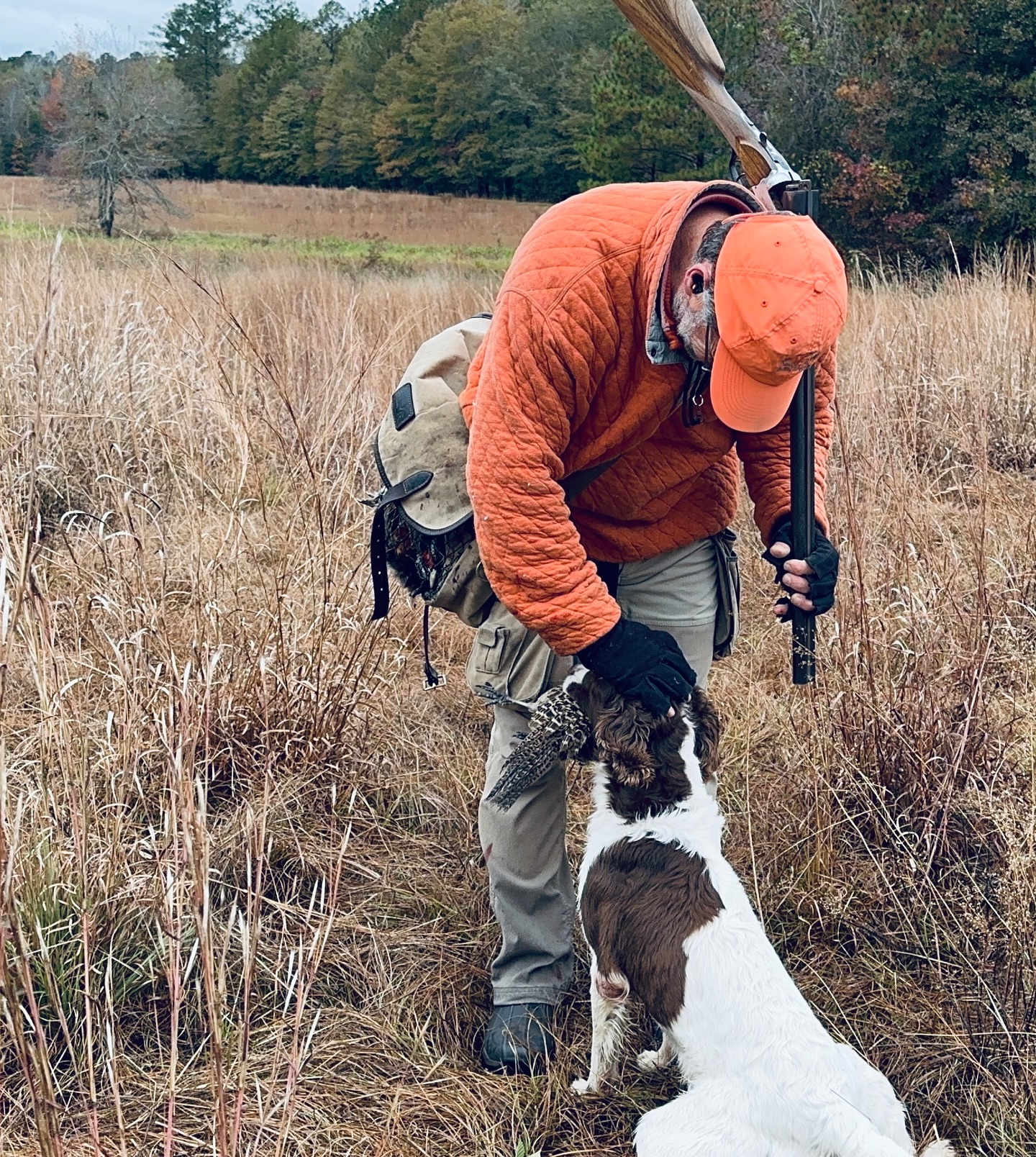 ❄️ While the snow flies up north… we’re still training.
It’s that time again—we’re heading south to Georgia for Winter Training, and now is your chance to secure a spot for your gun dog.
✅ Daily reps
✅ Bird work without weather delays
✅ Obedience, steadiness, and more
✅ Water work
The cold may shut others down—but not us.
This is how you get ahead while others wait for spring.
📍 Georgia | Winter 2025
📩 Contact us to reserve your spot!
#WinterTrainingCamp #GunDogTraining #SpanielTraining #ObedienceMatters #TrainWithPurpose #ToddAgnewTraining #GeorgiaDogs #SpringerSpaniel #CockerSpaniel #BoykinSpaniel #HuntReady