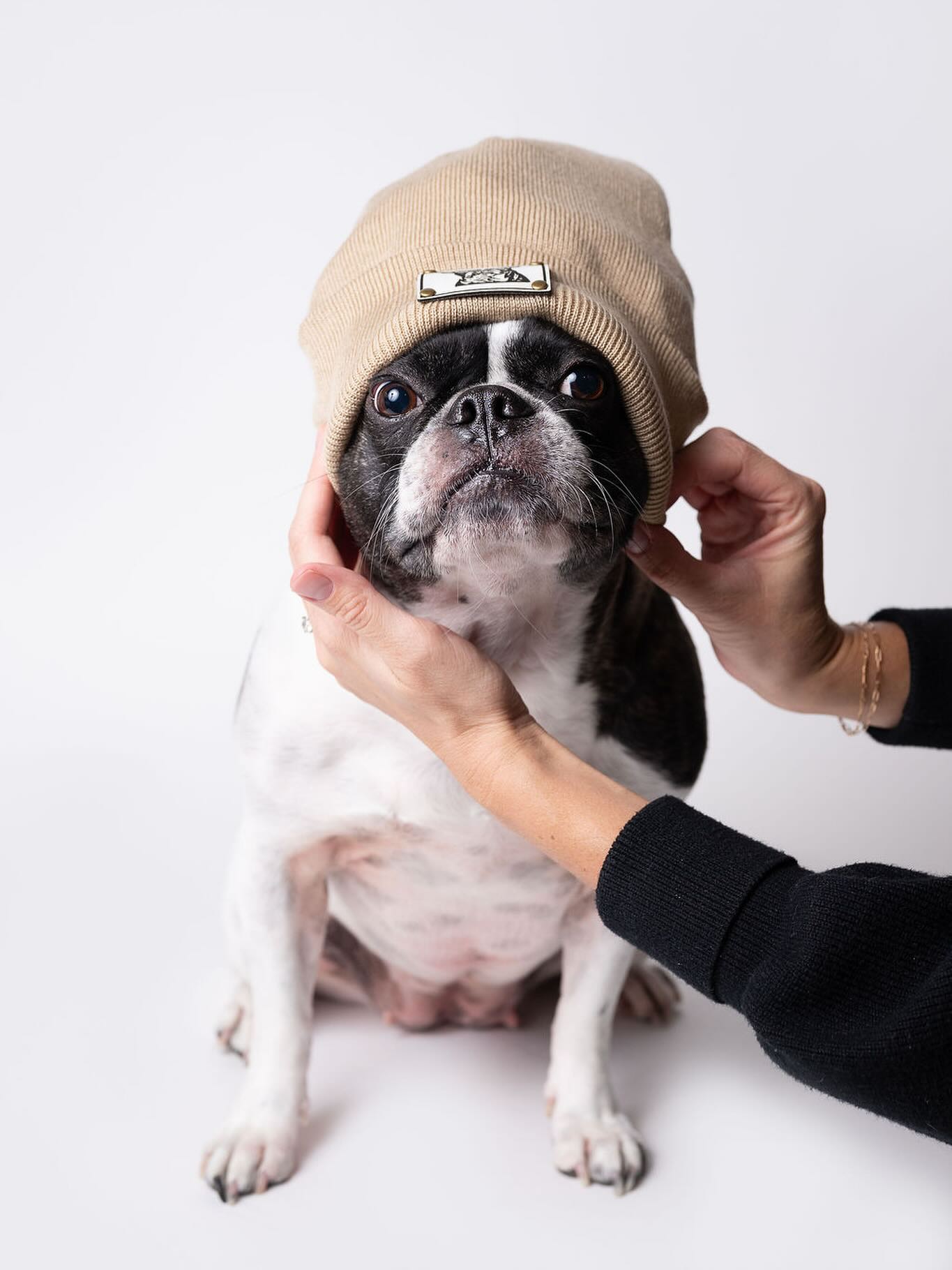 ✨ GIVEAWAY ✨
Enter to win a free Portrait Pup-up Session with @stoshyyc and two @brandedbasicsyyc toques with your animal photo from that session!
To enter:
1️⃣ follow @brandedbasicsyyc & @stoshyyc
2️⃣ like this post & tag a friend in the comments (1 comment = 1 entry, unlimited entries)
Bonus:
3️⃣ share in your stories
Contest closes on November 22 @ 11:59 PM MST & the winner will be announced on November 23. Portrait Pup-up session includes one 10 min session for one dog with 3 digital images. Must be used at the December 7 Portrait Pup-Up located in Calgary, Alberta.
This contest is not affiliated, sponsored, or associated with Instagram.
#giveaway #yycliving #supportsmallbusiness #calgaryphotographer #calgaryevents #calgarygiveaway #brandedgifts #animalovers #calgaryanimals