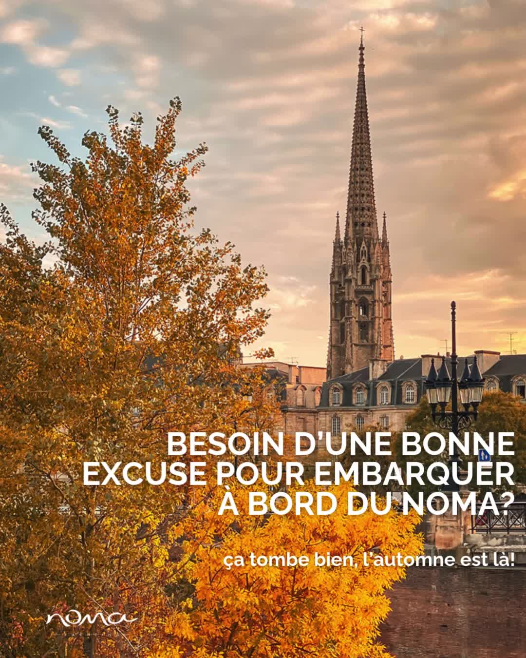 Et si l'automne 🍂 était LA saison pour (re) découvrir le Noma ⛴ ?
Aujourd'hui, on vous présente le top 8 des meilleures raisons d'embarquer avec nous sur le plus chouette yacht bordelais en ce mois de novembre !
(et toujours à partir de 30€ / personne ! )