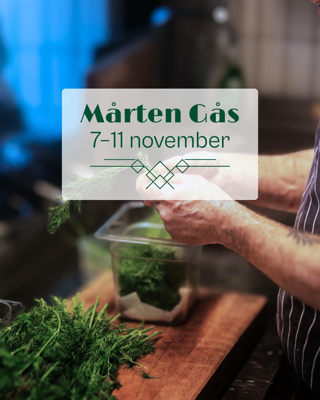 Klart farsan ska ha en gås 😉🦆
Fira fars dag med en klassisk Mårten-middag; soppa, rosastekt gås och skånsk äppelkaka med vaniljglass & mandel.
Boka bord mellan 7–11 november och bjud pappa på en lyxmeny i skärgården.
waxholmshotell.se/evenemang