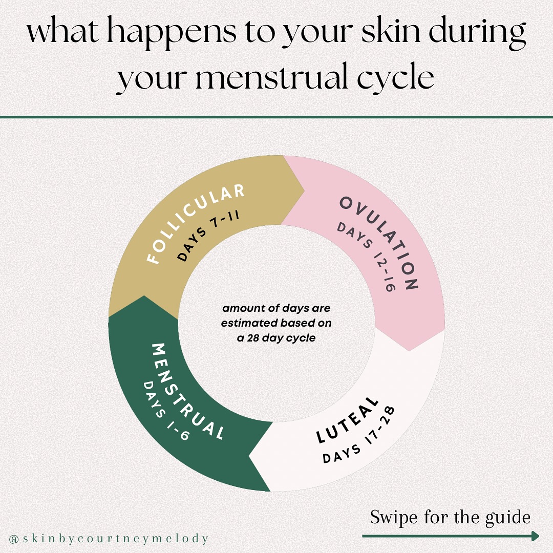 So what happens to your skin during your cycle? ❤️🩹
Please note these days are based on a 28 day cycle, but phases can differentiate in length, nonetheless, this should help you figure out what stage you can be at in your cycle, what hormones are mainly at play & seeing how your skin reacts.
Also bare in mind that factors such as stress, sleep, diet, exercise can all affect your hormones and will have a impact on one another - so for more detailed hormone health, I recommend booking in with a specialist if you have any concerns 😊