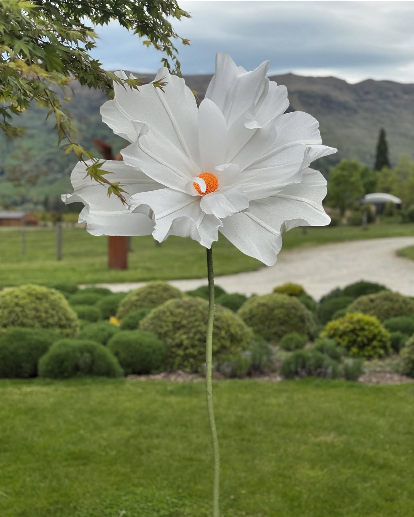 Papercut’s cosmos | work in progress