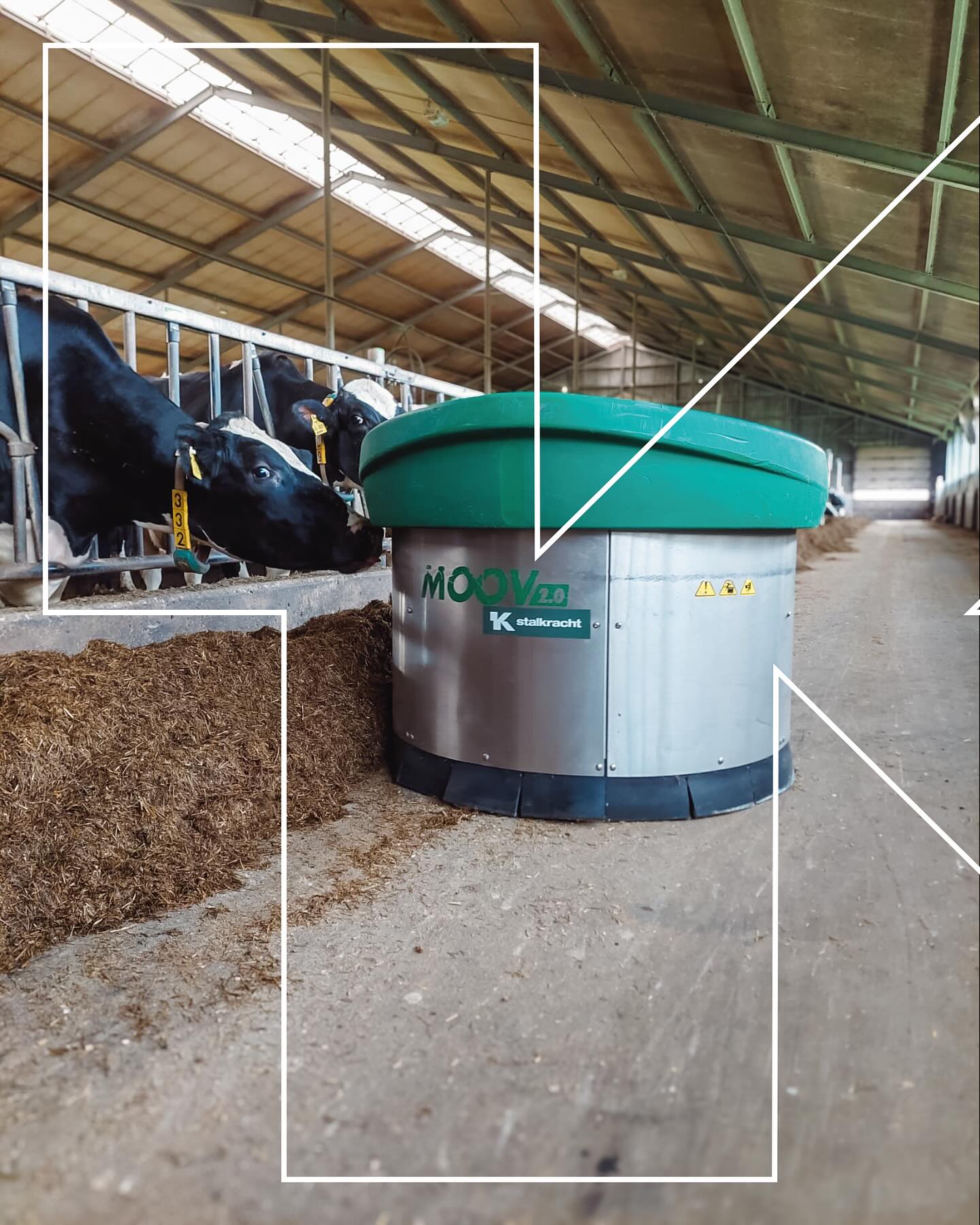 Een gebruikte Moov 2.0 in Jannum!
Onlangs hebben we een gebruikte JOZ Moov 2.0 voeraanschuifrobot gemonteerd bij boer Reitsma in Jannum. 💪
👉 Wist je dat je bij ons niet alleen terecht kunt voor nieuwe, maar ook voor gebruikte machines?
Elke gebruikte machine wordt door ons zorgvuldig nagekeken. Zo haal je altijd topkwaliteit in huis! ⚙️
Dank aan Reitsma Jannum voor het vertrouwen. 🙌
•
•
#JOZ #Moov20 #voeraanschuifrobot #staltechniek #melkveehouderij #agrarischleven #boerenleven #stalautomatisering #gebruiktemachines #installatie