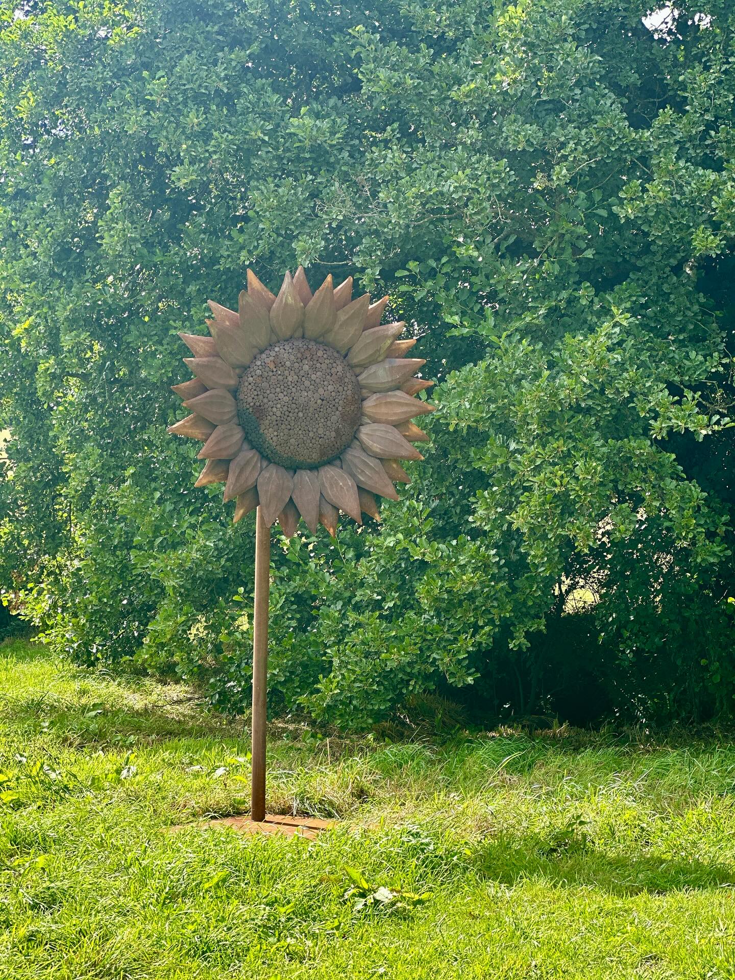 The sunflower has found its new home ๐ป and what a beautiful location it is, sat in amongst the wildlife in our new customerโs idyllic meadow. We canโt wait to see how it settles in to its new home and look forward to seeing it surrounded by wildlife flowers in the new year.
If you are looking for a piece for your own home, please donโt hesitate to get in touch to discuss your ideas ๐ป
#dorset #sunflower #sculpture #design #nature #art