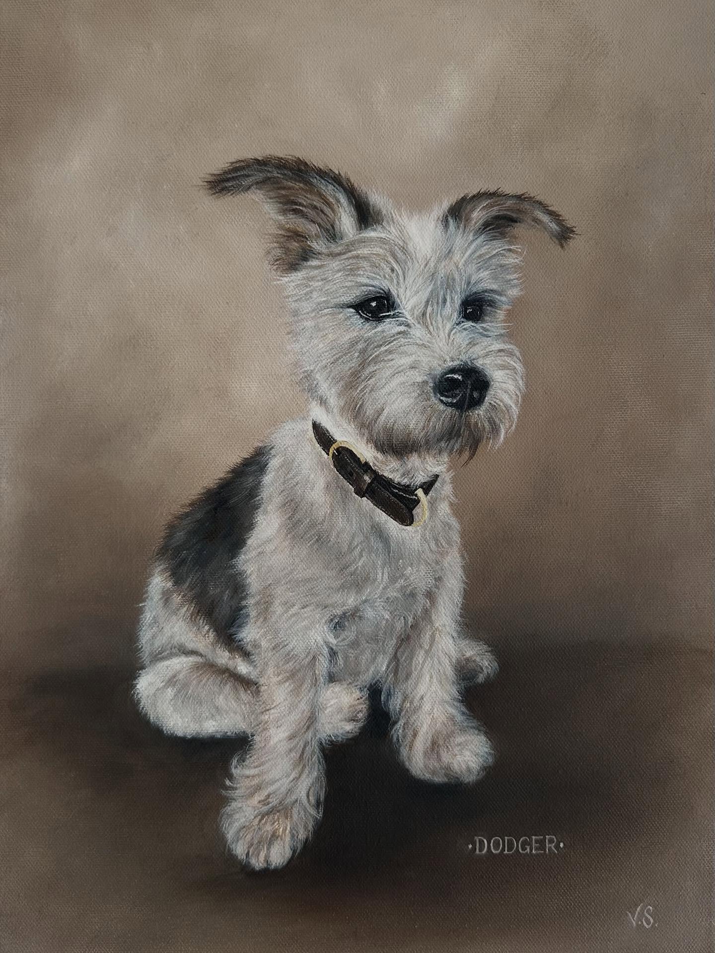 Dodger - A very special little person with a very big fan club ❤️
@charlotte.bacon @h_beswick