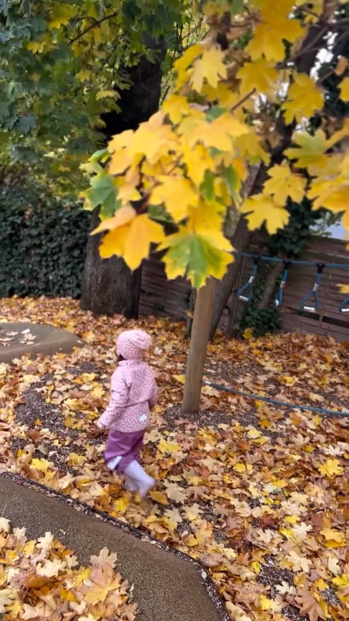 Ilyen nálunk az ősz 🧡🍂🍁. #vidamsag #ősz #babolygó #óvoda #gyerekek #játék #szabadon #levegőn #természet #preschool #kindergarten #autumn #nature #children
