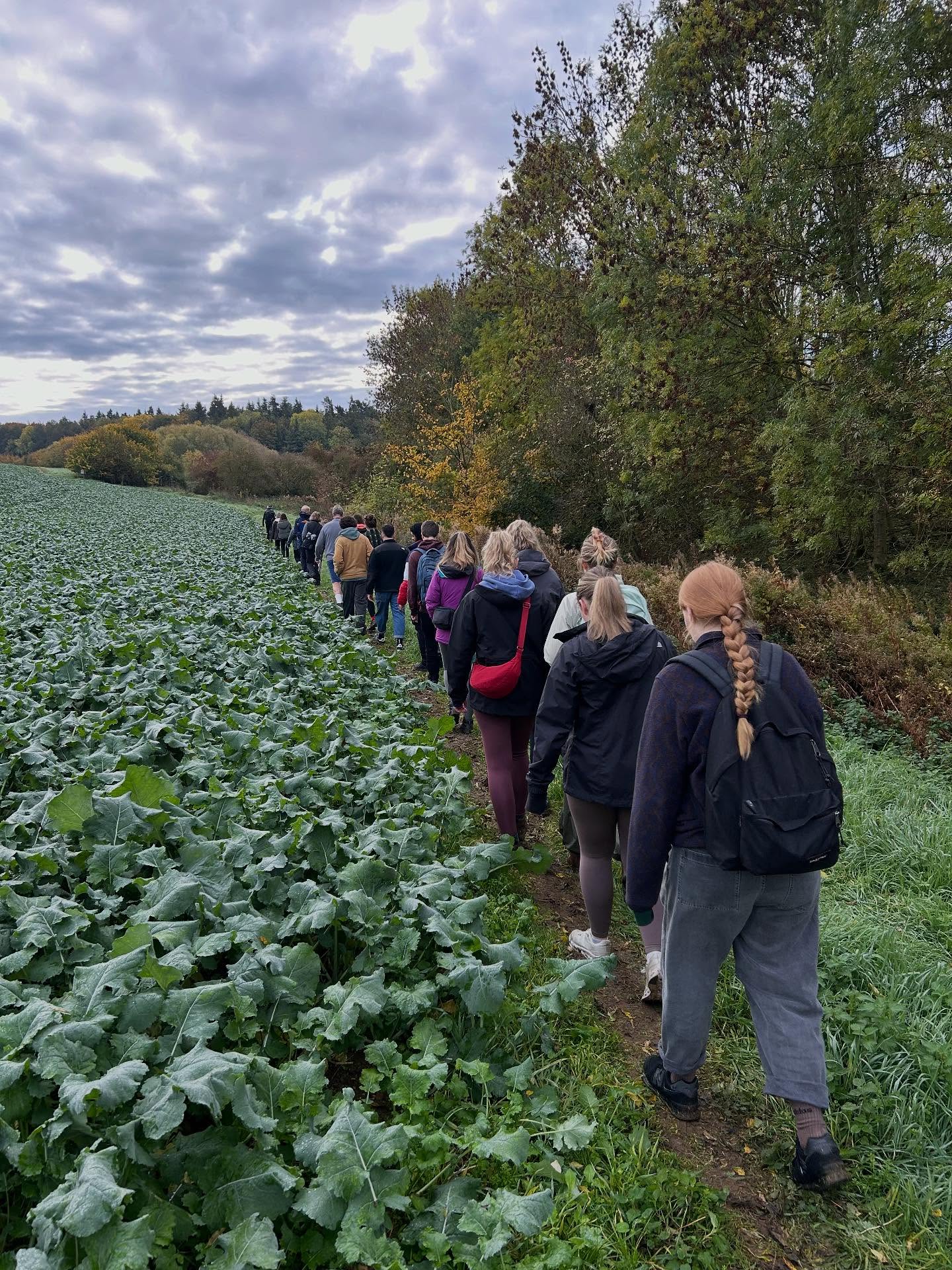 Hill walking at Sibson Lake offers a scenic and tranquil outdoor experience, combining the natural beauty of the lake with surrounding rolling hills and countryside. Visitors can enjoy peaceful trails, wildlife viewing, and panoramic views, making it an ideal destination for outdoor enthusiasts seeking a relaxing yet invigorating walk in a picturesque setting.
.
#hillwalking #nenevalley #rivernene #countrysidewalk
.
https://www.adventurenene.com/hillwalking