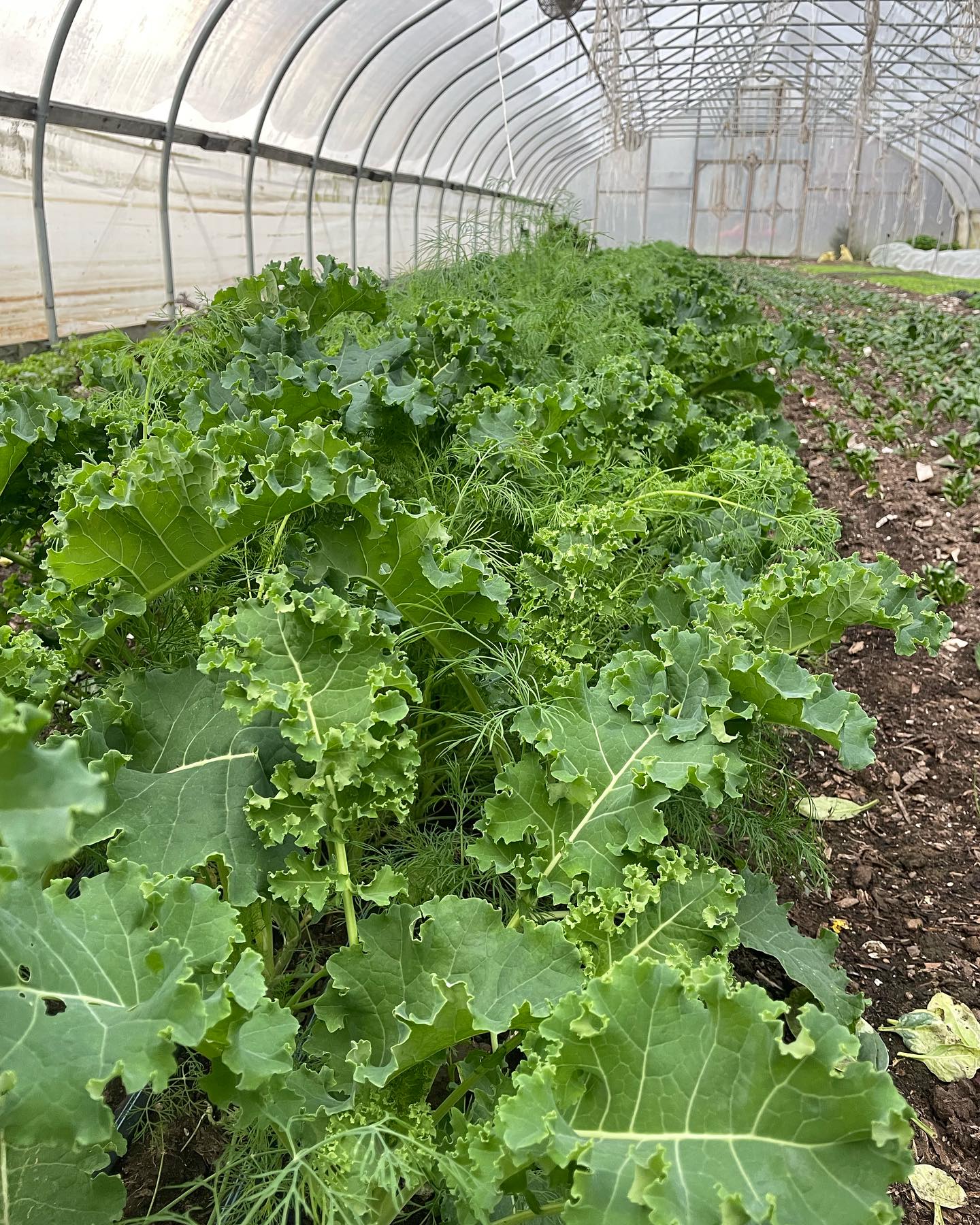 Our winter online store is open! Link in bio. Make sure to place your order by Sunday night.