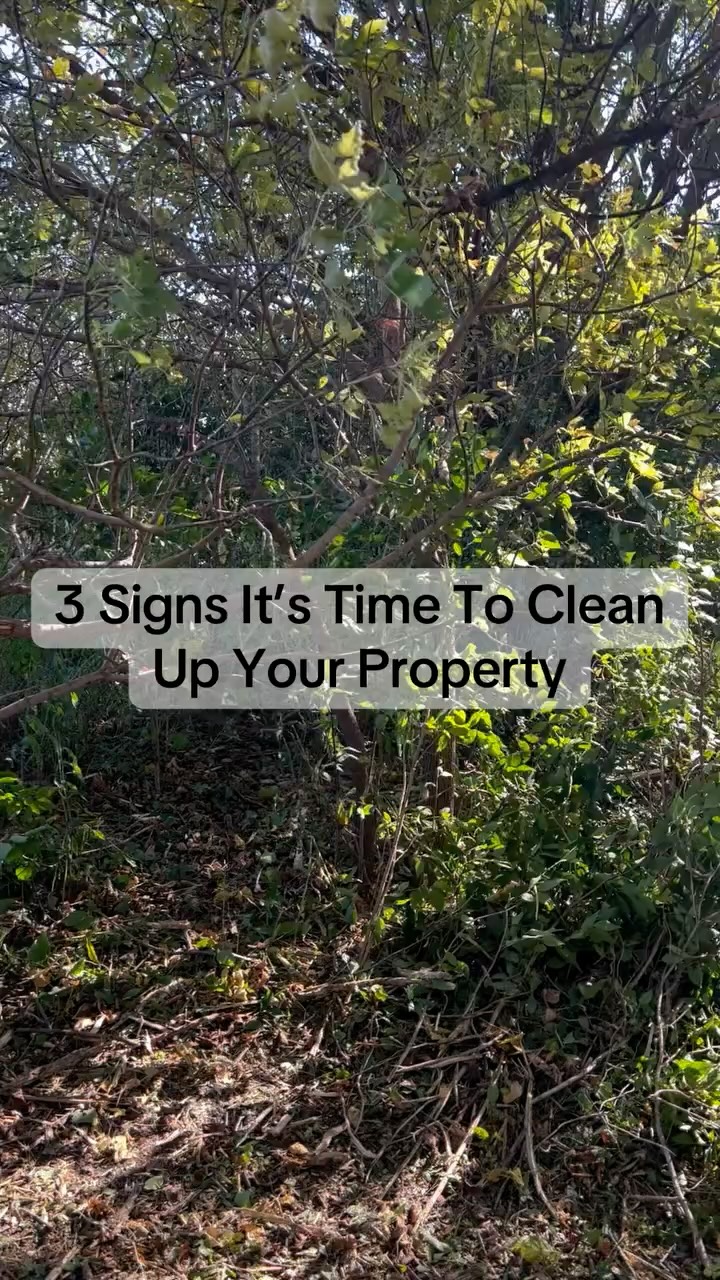 3 signs it’s time to clear your property:
1️⃣ Can’t see your fenceline
2️⃣ Overgrowth is taking over
3️⃣ You avoid certain areas altogether 👀
If that sounds familiar, we can help.
#LandManagement #ForestryMulching #PropertyCare #PrimeHabitatManagement