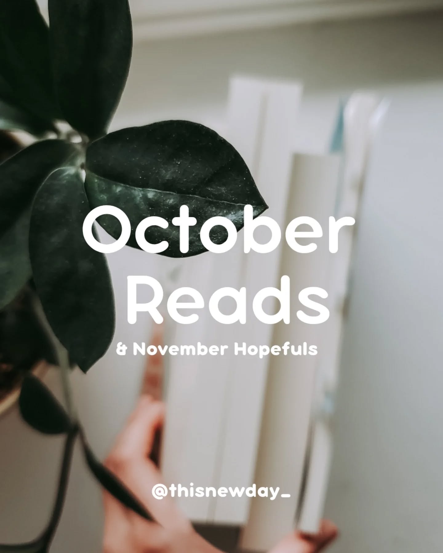 ✨ October Reads & November Hopefuls
October was a fabulous reading month for me, mostly due to very slow afternoons and lovely stories! 😍
** Full book reviews for each of the books I read so far this year can be found in my 2025 highlight.
⭐ Five Stars:
• Northanger Abbey by Jane Austen
• Callie and the Pumpkin Seed by Sarah Beran
• The Women of Oak Ridge by Michelle Shocklee
• The Scarlet Pimpernel by Baroness Orczy
⭐ Four Stars:
• The Royal Artisan by Tessa Afshar
• All That We Thought We Knew by Michelle Shocklee
• The Boys in the Light by Nina Willner
• Garden of the Midnights by Hannah Linder
• All the Lost Places by Amanda Dykes
• The French Kitchen by Kristy Cambron
• Sense and Suitability by Pepper Basham
⭐ Three Stars:
• Loved by the Beast by T.E. Elliott
• The Letter from Briarton Park by Sarah E. ladd
➡️ What was your favorite read in October ?
.
#octoberreads #christianfiction #booksforwomen #bookstagram #fivestarreads