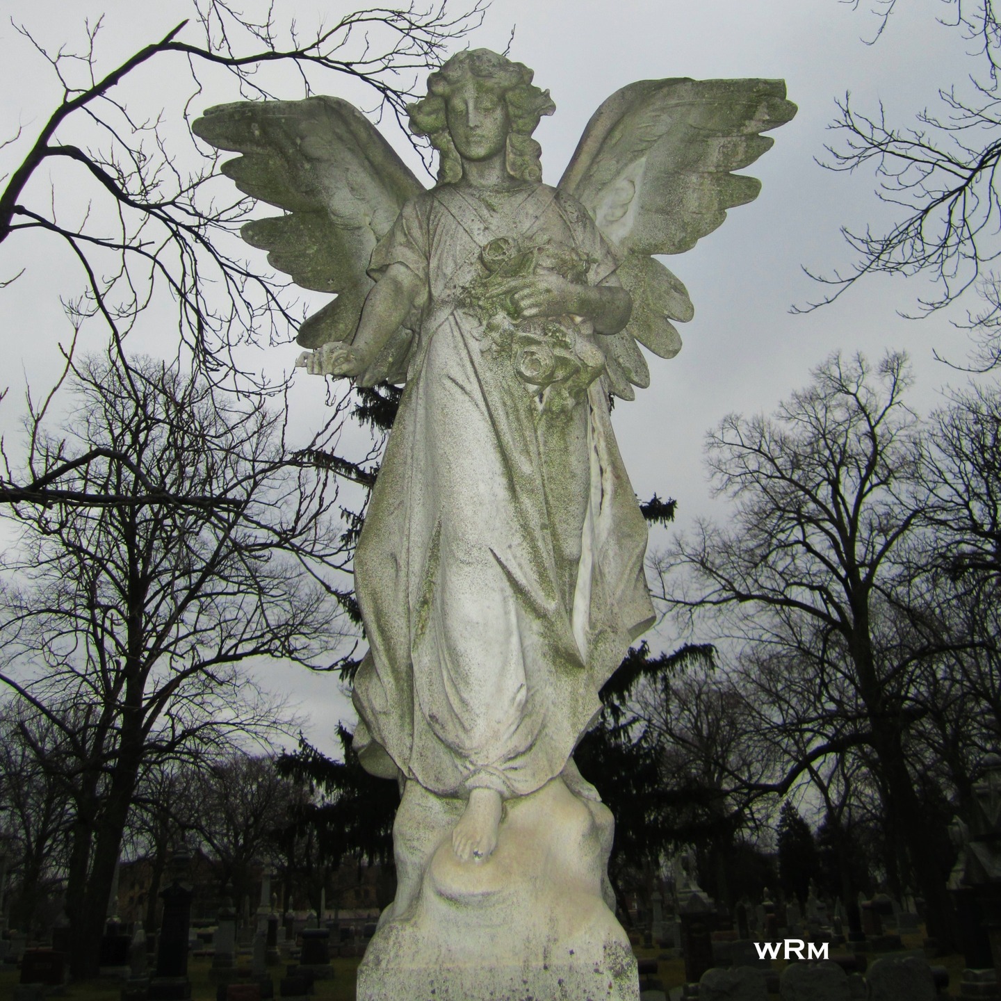 Concordia Cemetery, Forest Park, IL
#cemeteryphotography #cemeterystatues #cemeterystatuary #cemeteryshots #cemeterywandering #taphophiles_only #taphophile #tombstonetravels #cemeteryart #cemeteryphotographer #cemetery #angels #angelstatue #cemeteryangels #concordiacemetery #stoneangel #chicagocemeteries