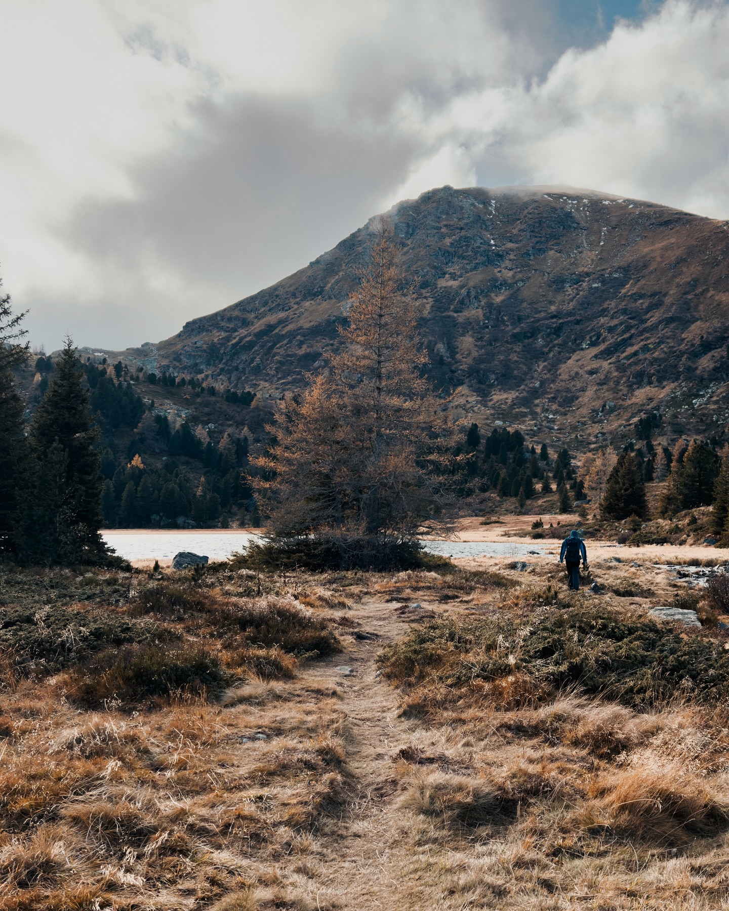 Herbstfarben, Wind, Nebel und ganz viel Magie… 🍂✨🕯️
Diese Tage rund um Samhain | Allerheiligen | Allerseelen haben eine besondere Wirkung, und sie machen uns auf etwas aufmerksam, das wir im Alltag oft wegschieben: die VERGÄNGLICHKEIT.
Nichts bleibt, wie es ist. Und genau deshalb fühlt sich Leben manchmal so intensiv an.
Psychologisch gesehen passiert in dieser Zeit oft etwas Spannendes:
Wir werden ehrlicher mit uns. Wir schauen hin, was wir gerade mit uns herumtragen - was uns eigentlich nicht mehr gut tut und was wir uns stattdessen mehr wünschen. Nicht, um alles neu zu machen, sondern um mit weniger Ballast und mehr Echtheit weiterzugehen.
Vielleicht ist das der wahre Wert dieser Tage:
Sie holen uns aus dem oberflächlichen „Schneller-Weiter-Rad“ und bringen uns zurück zu:
Was ist mir WIRKLICH wichtig?
Wer möchte ich als Mensch sein?
Was braucht Liebe, und was darf gehen?
Es geht nicht darum, gerade jetzt tief zu trauern oder besonders spirituell zu sein. Sondern darum, präsent zu sein: für das Leben, das jetzt ist, für die Menschen, die da sind, und für die Version von dir, die gerade in diesem Moment entsteht. 🙌
Man muss nicht alles klar sehen, um den nächsten Schritt gehen zu können. Die Zeit, die wir haben, mit echtem Leben zu füllen, ist wohl das größte Geschenk, das wir uns selbst machen können. Denn am Ende wird sie verflogen sein – so schnell wie Wolken im Wind. 🌬️
Wo darf es für Dich gerade ein bisschen echter werden?
#allerheiligen #allerseelen #samhain #magie #herbst #bergliebe #zeit #psychologie