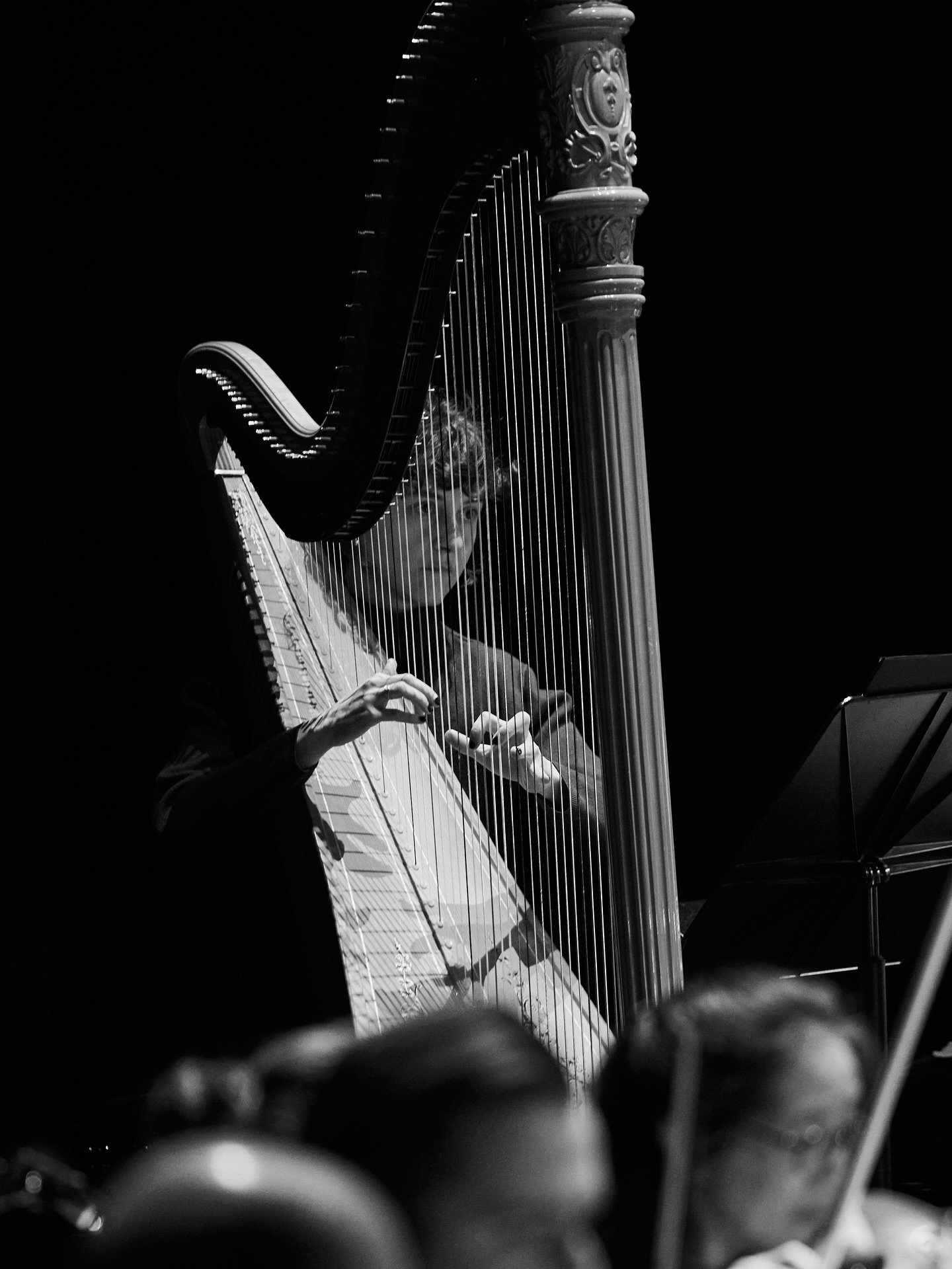 From the inspiring rehearsal week with @tcurrentzis and @utopia.orchestra 🤍
Thankful for this unique approach of making music.
Wagner with six harps in Berlin - Munich - Rotterdam - Antwerp - Hamburg - Athens