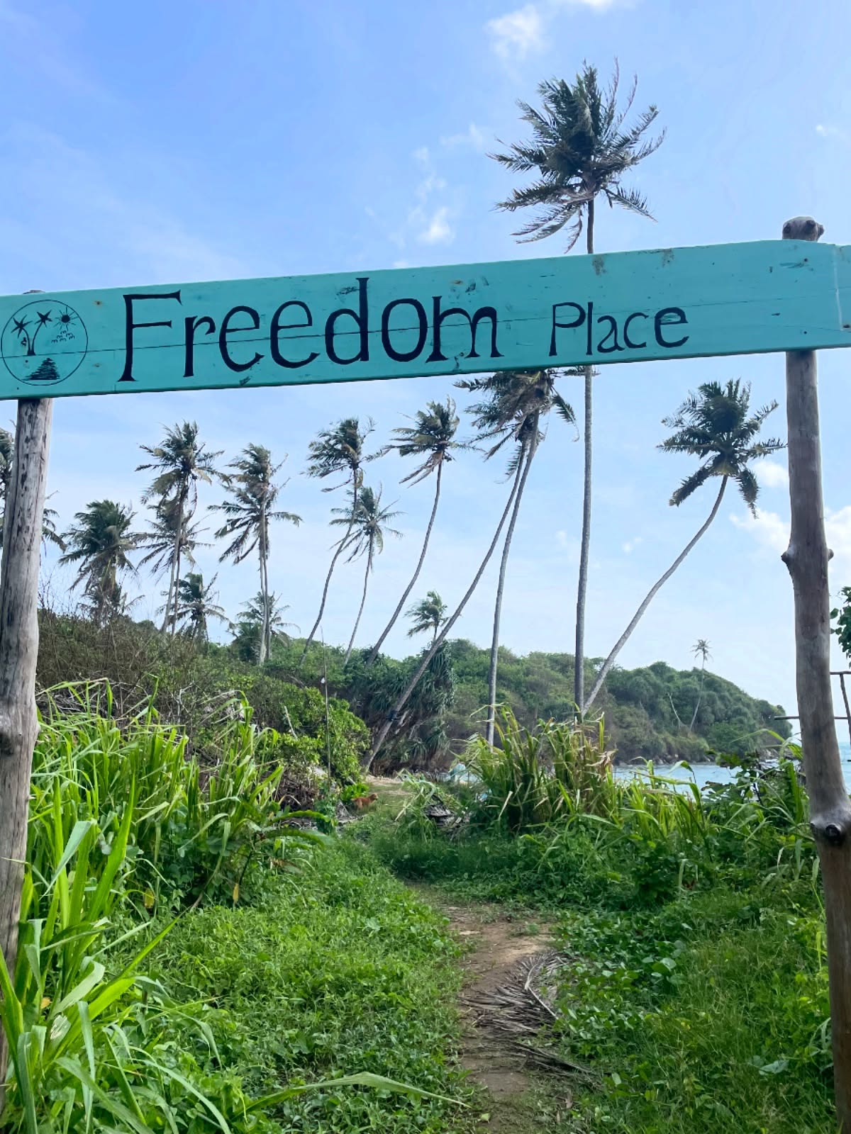 Keep it light 🦋
~
~
~
#palmtrees #freedom #promenade #discoverymode #beachlife🌴