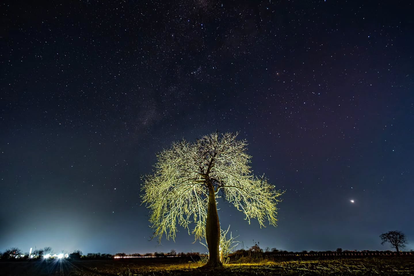 A Barriguda so Sertão, sob a luz das estrelas.
Dia para guardar na memória, no qual tive a companhia dos amigos @tarcisotsa , @mateusj.art , @dodovillar.foto , @alan_edson_fotografias .
A vontade de fotografar novamente na Chapada Diamantina só aumenta.
