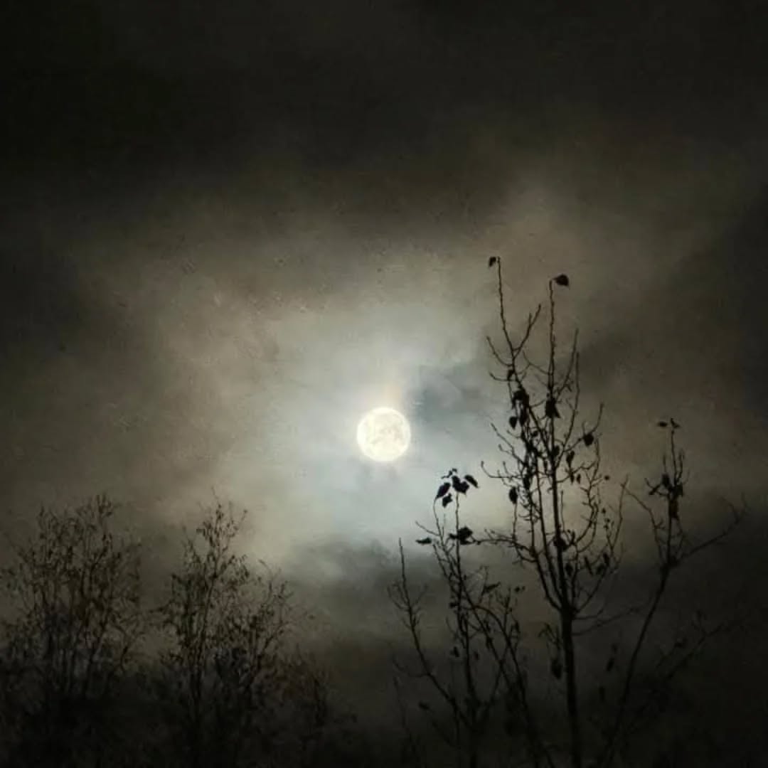 "We bury things so deep we no longer remember there was anything to bury. Our bodies remember. But we don't." ~ Jeanette Winterson
Tonight is a supermoon, the Beaver Moon - a perfect night to unearth, release, and recharge.