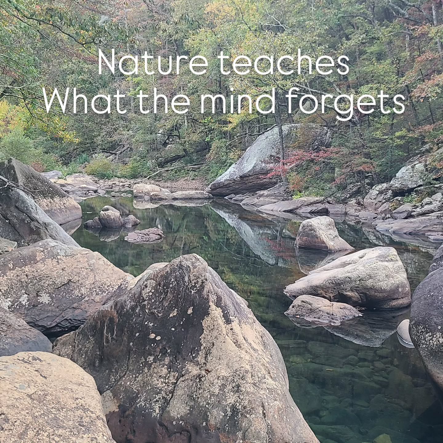 Slow down
Breathe
Listen
The mind seeks
The heart knows
The earth remembers