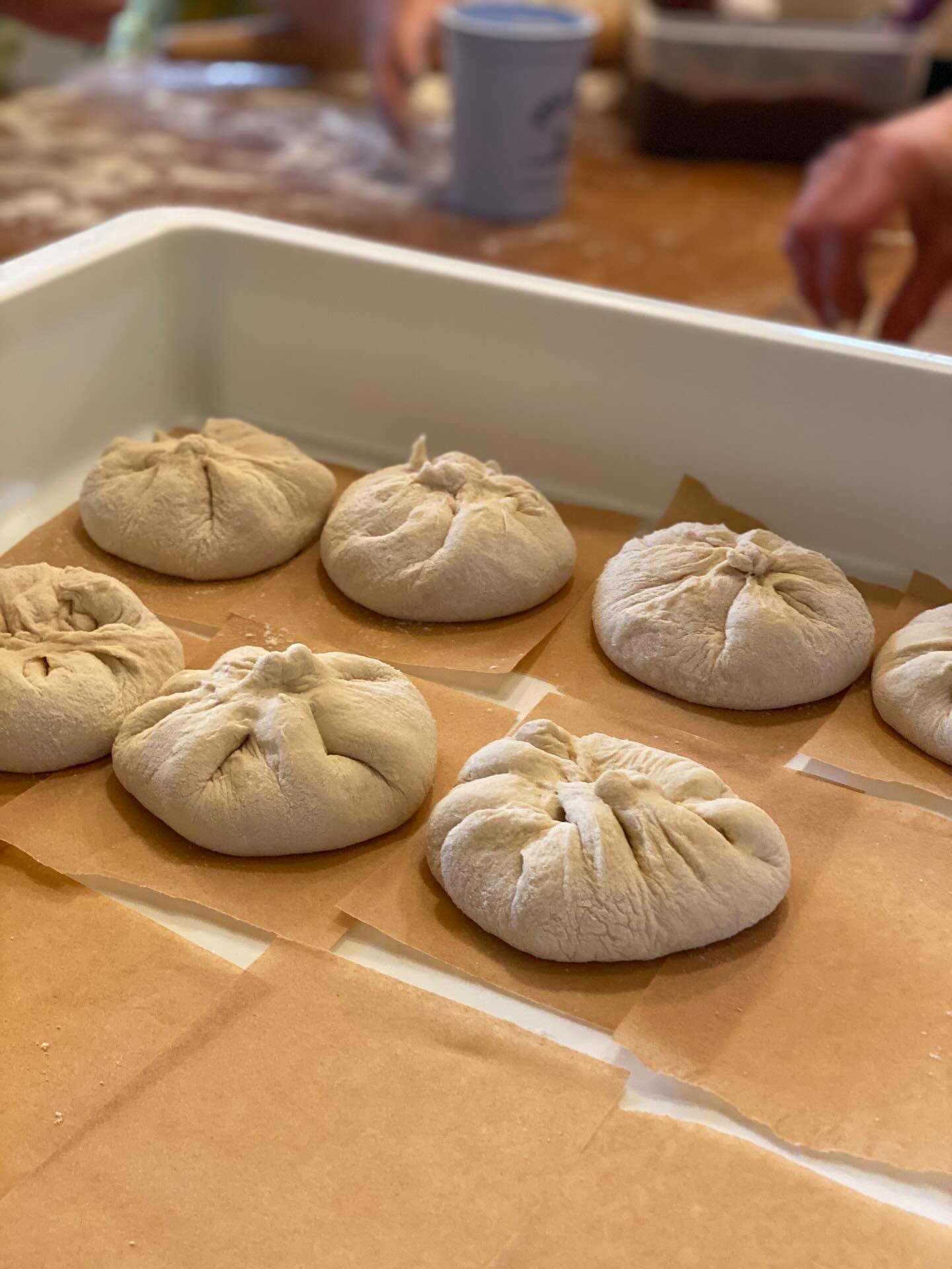 Great people, great ideas, great food = the best end of season celebration. Love our farm family so much. 🥰 #sliceofheavenfarm
@redoutwest @amyredmond4 @a8ypyro @parker__white @_mother.nurture @allex_ford @earthbuddha @alexaolbes @fruedog