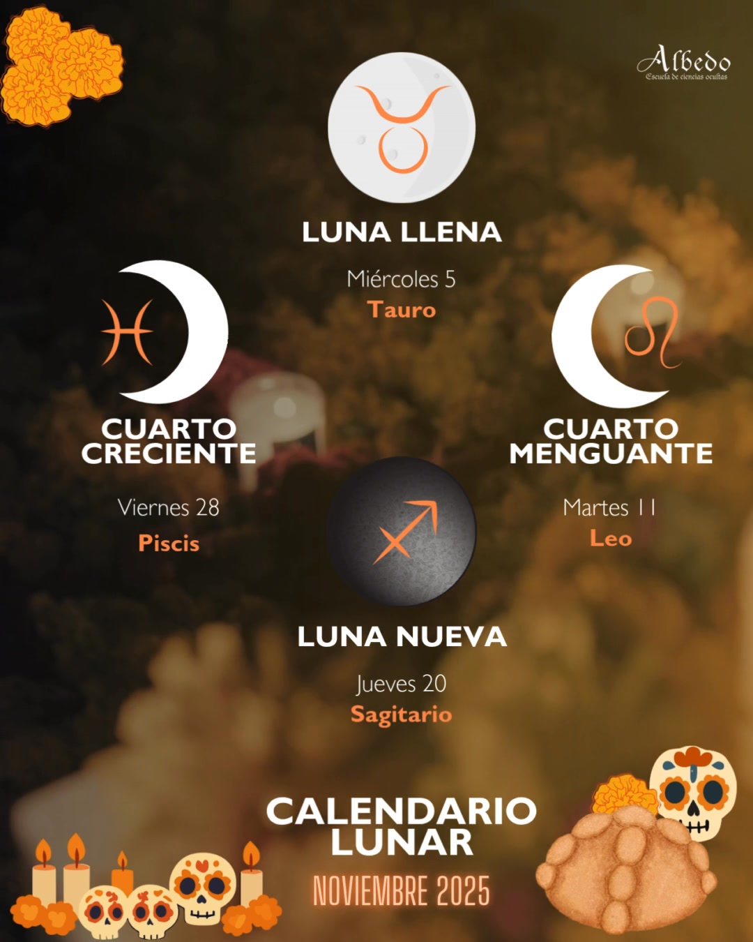 Calendario Lunar de Noviembre 2025 🌝🌚
Tras Samhain, la Luna nos enseña a soltar sin miedo.
Cada fase es una puerta: muerte, silencio, renacimiento.
Luna Llena: 5 de noviembre. ♉
Cuarto Menguante: 11 de noviembre. ♌
Luna Nueva: 20 de noviembre. ♐
Cuarto Creciente: 28 de noviembre. ♓
Guarda este calendario lunar y camina el nuevo ciclo con consciencia 🌑🌕
#astrologo #AlbedoEscuela #LunaYMagia #TereFlores