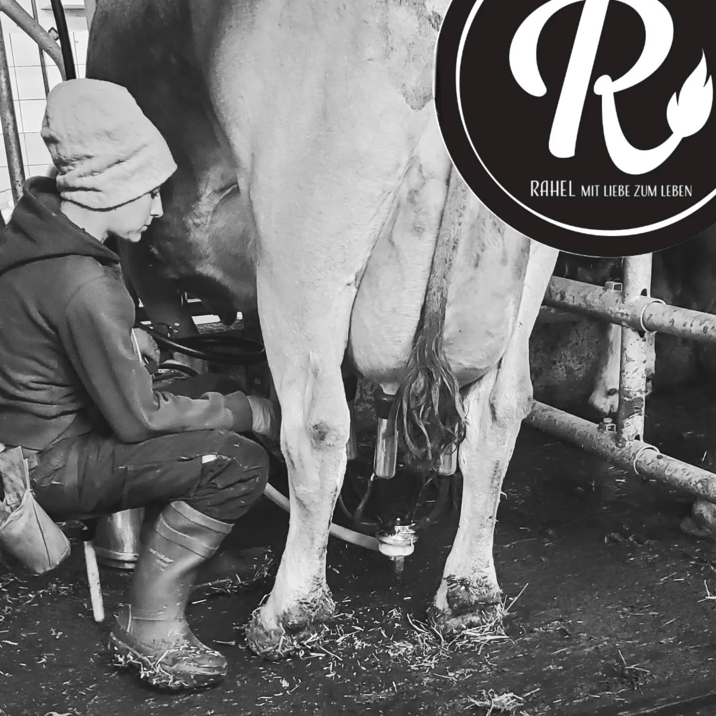 zwischen A U S Z E I T & Ü B E R F O R D E R U N G
Meine persönliche Auszeit ist zwei mal in der Woche die Stallzeit welche ich übernehme während mein Mann auswärts Arbeitet. Für mich die perfekte Gelegenheit um drausen zu Arbeiten, alleine und nur für mich. Im besten Fall bin ich alleine im Stall. Oder die Kinder spielen friedlich im Stall (dies meist bei warmem Wetter und während den Ferien). Dann ist es meine ganz eigene Auszeit💛
Es gibt manchmal Faktoren, die diese Auszeit zur kurzfristigen Überforderung werden lässt.
Sind unsere vier Kinder zuhause und werden auch von mir betreut, steigt die Anforderung an Multitasking.
Kommen die Kinder während meiner Stallzeit von der Schule nach Hause und müssen Hausaufgaben oder für Prüfungen lernen wir es noch schwieriger.
Oder es ist Winter und die Kinder mögen nicht 3 Stunden im offenen Stall spielen, wird es komplizierter.
Bleiben sie alleine zu Haus (unser Wohnhaus ist 10 Gehminuten vom Stall entfernt), streiten miteinander und telefonieren mir darum all 5 Minuten, während ich am Melken bin, habe ich nicht nur länger bei der Arbeit, ich bin auch innerlich angespannter.
Dann rutsche ich schnell von der Auszeit die mir so gut tut, in die kurzfristige Überforderung.
Sind wir dann um 19.30Uhr alle beim Abendessen, bin ich müde und erschöpft, vieleicht etwas mehr als sonst. Dann frage ich mich manchmal, warum mache ich das alles?
Weil es mir gut tut und das Leben manchmal so ist wie es ist.
Ich kann vieles planen und manches auch nicht. Ich lerne, es so anzunehmen wie es ist.
Mit mir gnädig sein, es ist nicht alles perfekt.
Aber ich bin es trotz oder genau wegen dem allem P E R F E K T💛
Rahel 💛
#biohof_rofel #langwies #lebenmitkindern #lebenaufdembauernhof #buure #landwirtschaft #rahelmitliebezumleben #schanfigg #erlichberührtdich