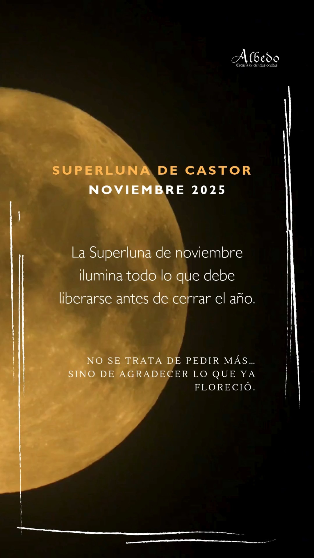 🌕 Superluna de Castor en Tauro 2025
Esta es la última Superluna del año, y llega para mostrarnos algo muy simple:
no todo lo que se cierra es pérdida.
En Tauro, esta Luna habla de sostén, cuerpo y gratitud. Nos recuerda que la abundancia no siempre se siente como expansión, a veces es solo poder respirar en calma después de tanto movimiento.
La llaman Luna de Castor porque en esta época los castores reforzaban sus refugios antes del invierno.
Y de alguna forma, todos estamos haciendo lo mismo: cerrando, protegiendo, guardando lo esencial antes del siguiente ciclo.
🌿 Esta Luna no viene a darte más… viene a enseñarte a cuidar lo que ya tienes.
Hazlo simple: enciende una vela, limpia tu espacio, agradece tu cuerpo.
Y si algo se siente pesado, déjalo ir con amor.
Porque lo que se queda, ya está listo para florecer.
🌕✨
#superluna🌚 #lunadecastor #tauro♉ #magialunar #astrología #albedoescuela #brujamoderna #ritualeslunares