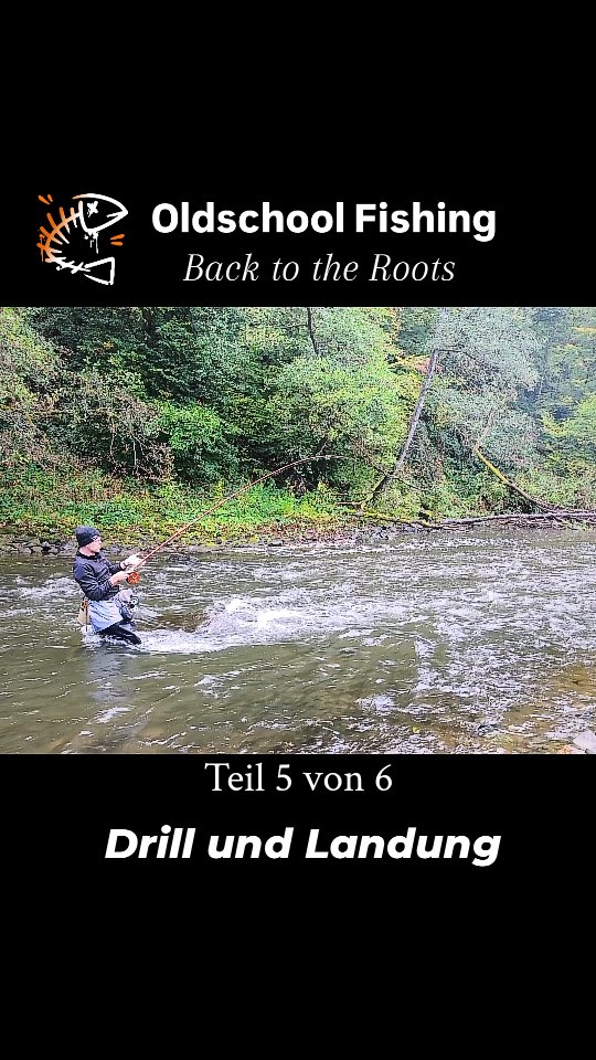 Im Drill zeigt sich ein deutlicher Unterschied. Im Gegensatz zur modernen Rute verhält sich das Altertümchen etwas träger.😬
Bedingt durch die reine Spitzenaktion, steckt in der Rute einfach nicht genügend Puffer.
Die Konsequenz ist eine etwas dickere Schnur um das nicht vorhandene etwas auszugleichen. Arrangiert man sich damit, so macht es doch schon richtig Spaß 💪
#centrepin #oldschool #Oldschoolfishing #vintagefishing #centrepinangling #CentrepinFishing #centrepinrolle #Centrepinreel #backtotheroots #barbe #barbel #chub #einfachangeln #angelnverbindet #outdoorlife #fishinglife🎣 #fishinglessons