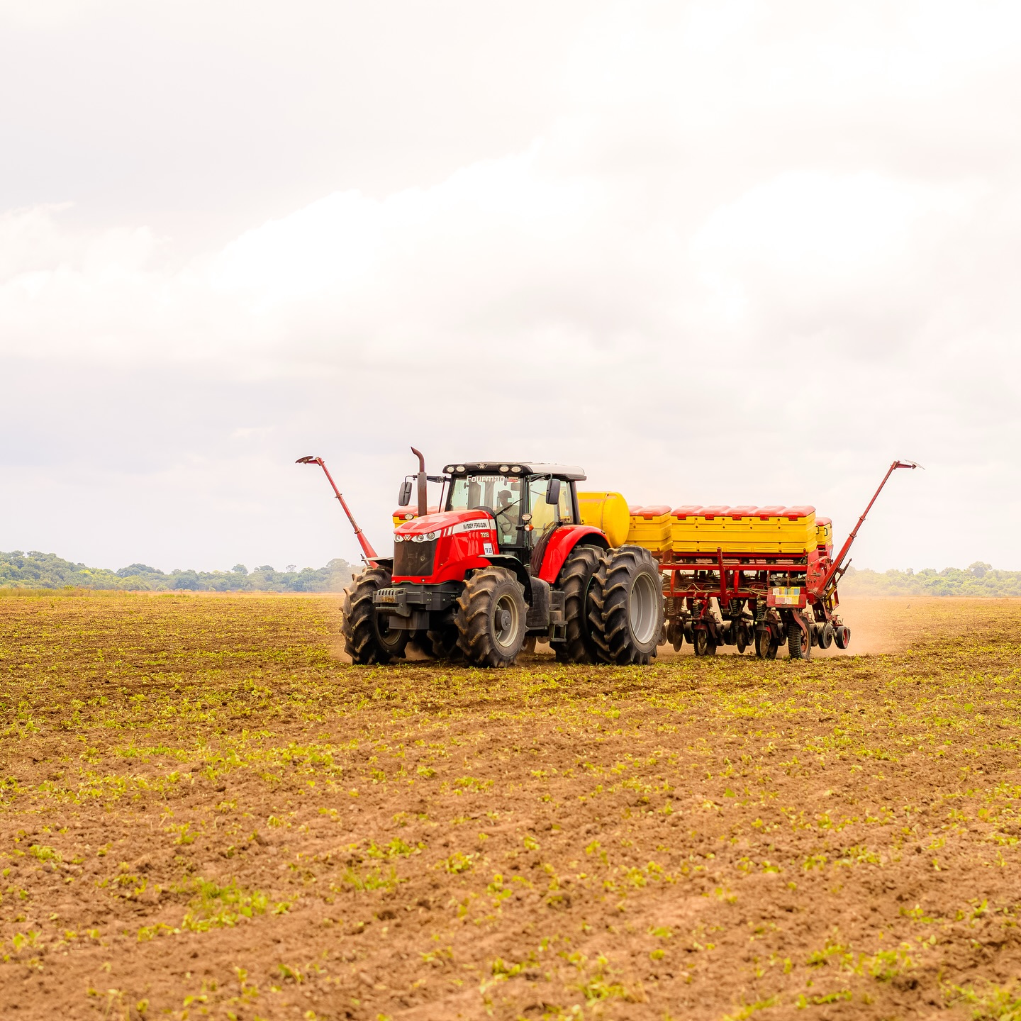 O início de uma nova safra sempre traz consigo a esperança de grandes colheitas. 🌾
Mais que plantar, é acreditar no potencial da terra, na força de quem trabalha e no futuro que cresce junto com cada semente.
Que venha mais uma jornada de produtividade e conquistas!