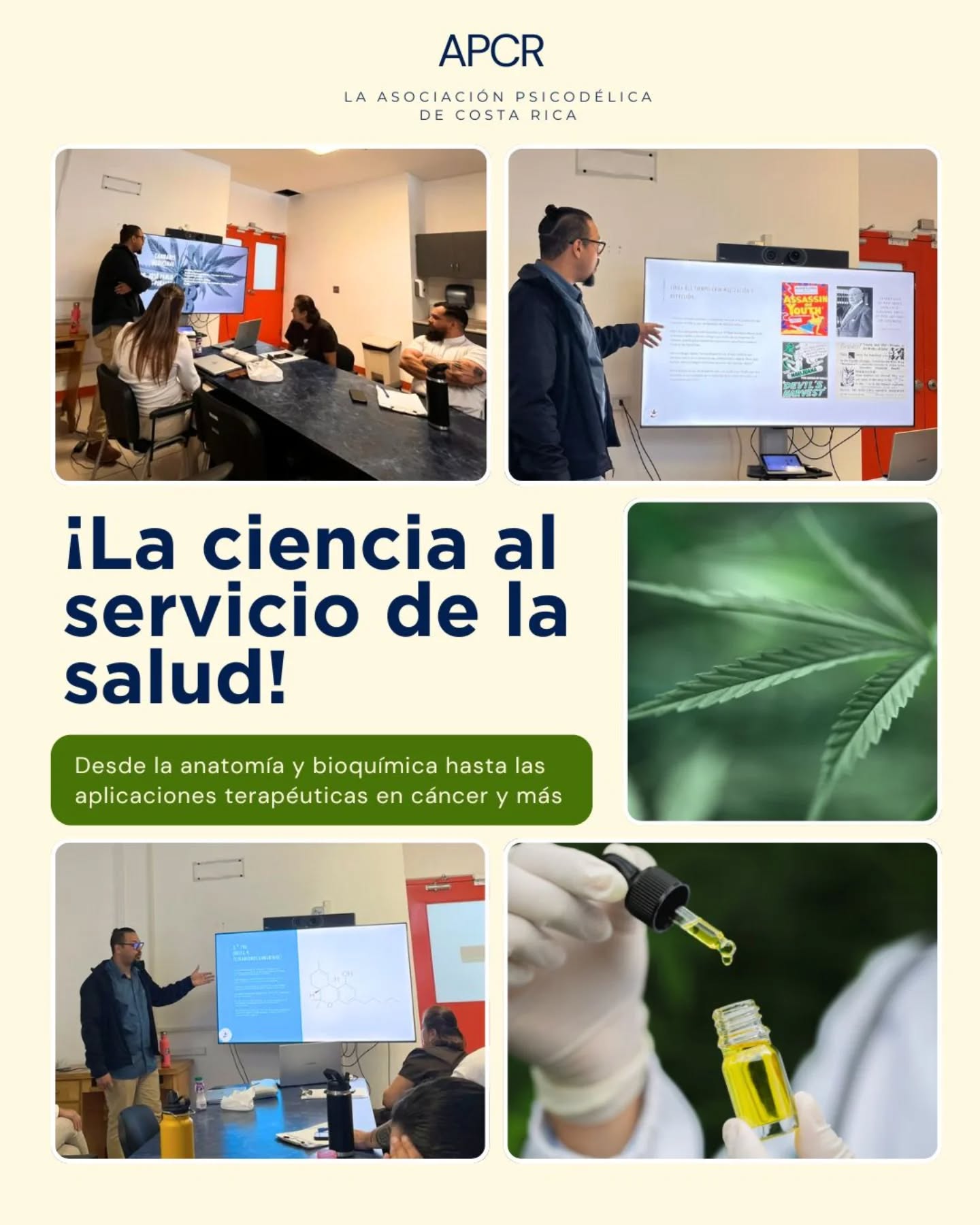 Hoy tuvimos el privilegio de contar con un valioso espacio de formación en el Hospital México al departamento de Cuidados Paliativos.
La sesión fue impartida por el @drjosepablo.badilla , quien abordó de manera integral temas fundamentales: desde la historia, anatomía, fisiología y bioquímica de la planta, hasta las aplicaciones terapéuticas en condiciones complejas como el dolor y cáncer.
Promover el conocimiento profundo de estos temas es esencial para mejorar las opciones de manejo del dolor y la calidad de vida de los pacientes.
Agradecemos a la CCSS por facilitar estos importantes espacios de capacitación y actualización profesional.
#CannabisMedicinal #CuidadosPaliativos #HospitalMexico #CCSS #APCR #asociacionpsicodelicacr