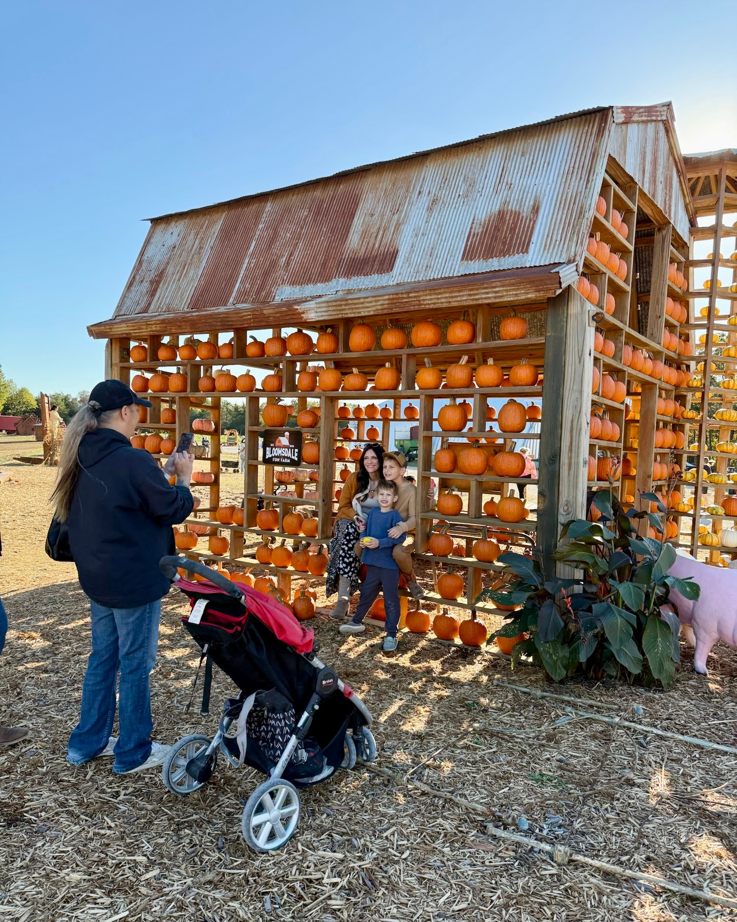 Saturday’s Halloween Carnival is coming up. Time to plan your visit! 🎡🎃🎶
Saturday 10-5
Tickets sold on bloomsdalefunfarm.com