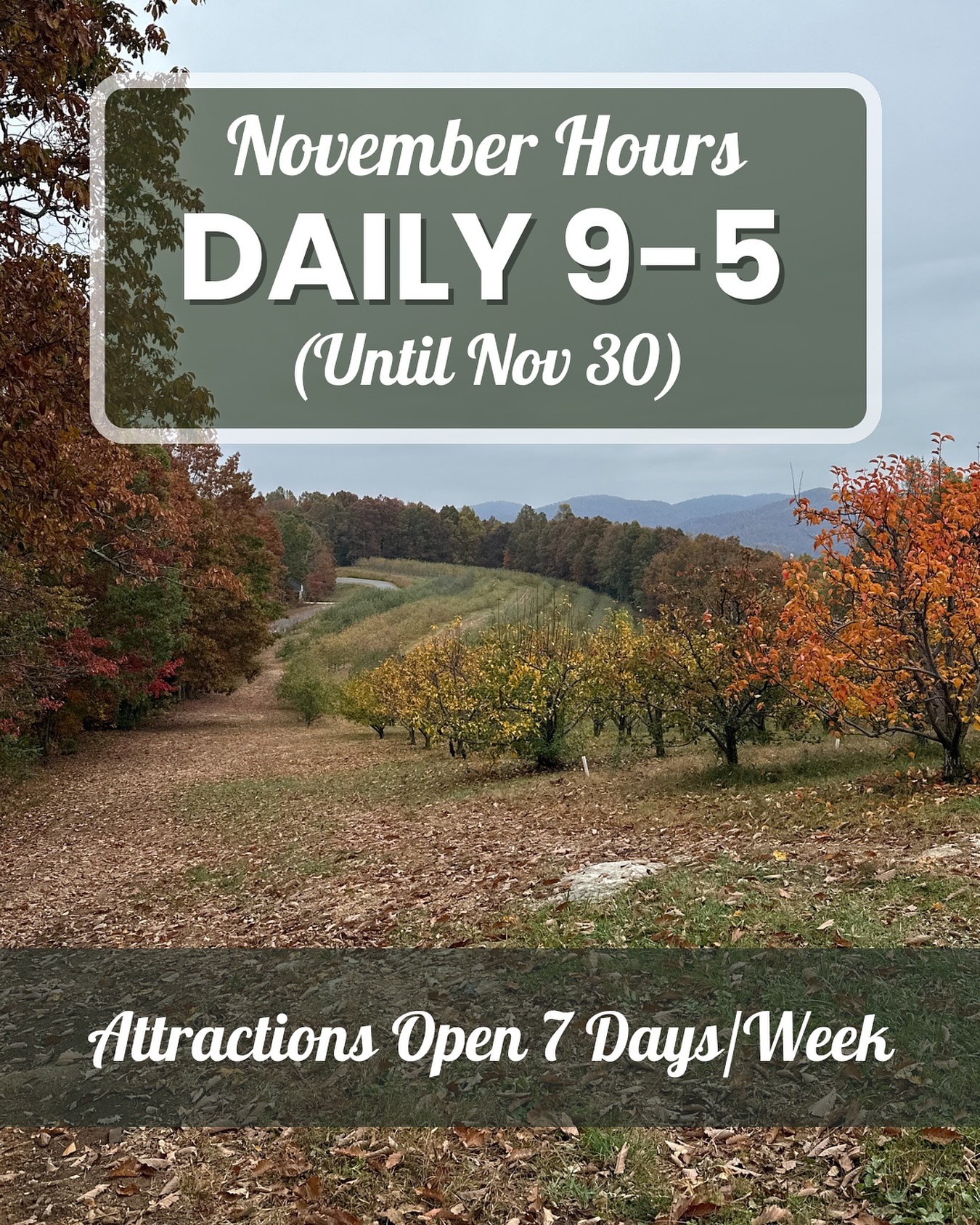 Time’s falling back, but fall fun isn’t over yet! 🍂 Visit us this November for apples, donuts, pies, cider and gifts before we close for the season on Nov 30th. 🍎✨
Our November hours are daily 9-5 (all attractions open 7 days/week.) Only closed on Thanksgiving Day.
We still have plenty of apples available in our market. Perfect for baking, saucing, and snacking:
🍎Pink Lady
🍏Gold Rush
🍎Staymen Winesap
🍏Granny Smith
🍎Fuji
🍏Red Delicious
🍎Ida Red
🍐Asian Pears