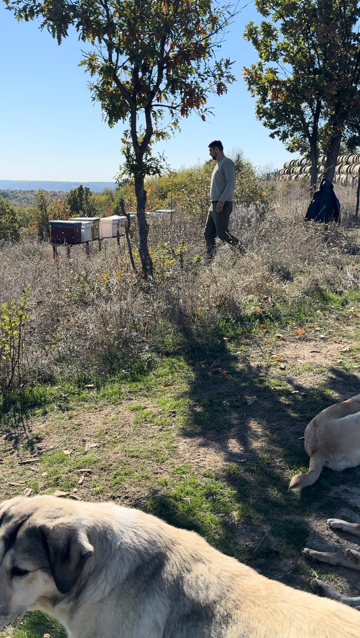 October in the countryside 🤍