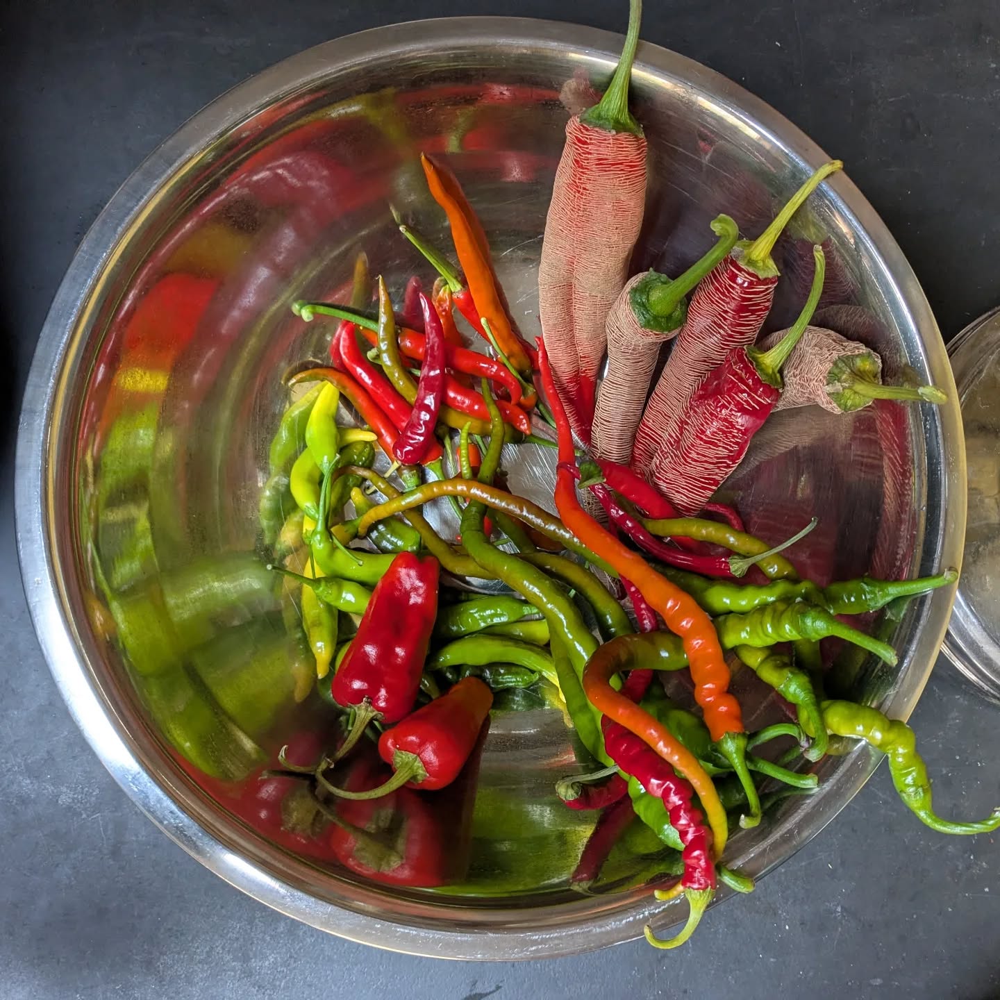 The last of the chillies....