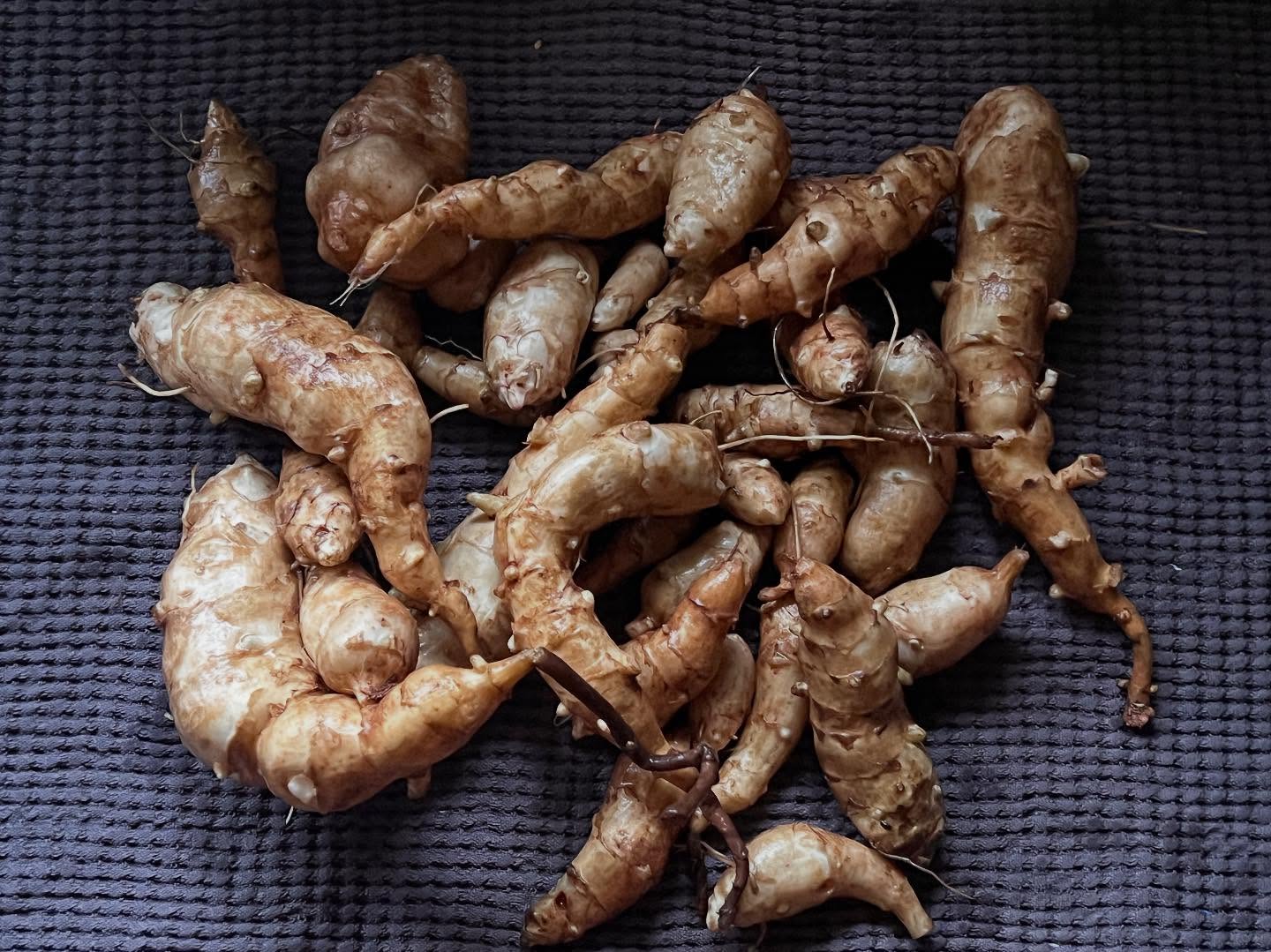 Jerusalem artichokes…… recipes please, I seem to have an abundance!! 😲😁 #berylscampsite #jerusalemartichoke #garden #vegetables