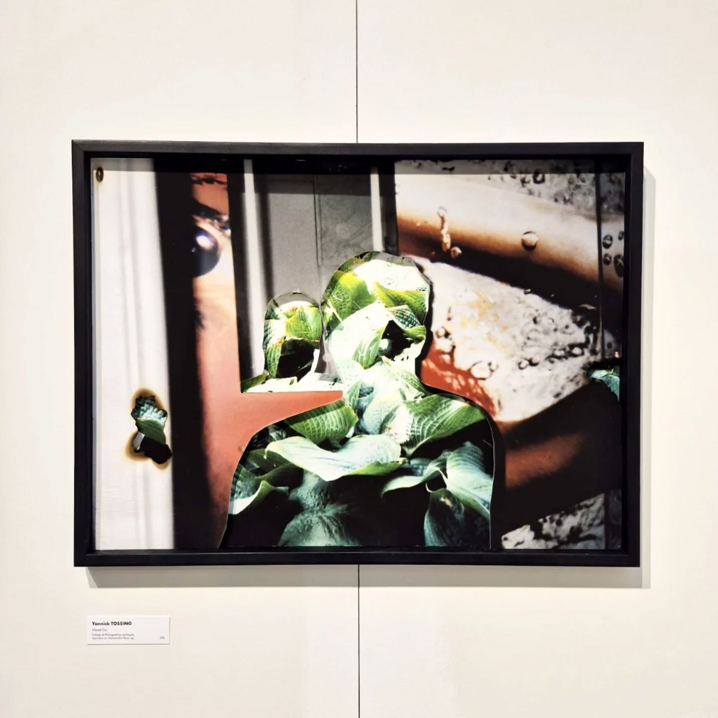 Maxed out
60 x 80 cm
Fading Memories Series
Multilayered Photography collage
Taken with Nikon AF200, printed on Hahnemühle Photo Rag, black wooden frame
2025
Second of 3 works shown at salon du CAL @cercleartistiquedeluxembourg
My photo collages illustrate how our memories fade and merge with older or forgotten ones. Over time, these memories blur together, get mixed, become abstract. The burnt spots symbolize memory loss, erased by time or diseases.
#photography #collage #analog #photo #art #porto #architecture #city #architecture #delphianopencall #travel #luxembourg #lights #reflection #artist #Lëtzebuerg #nikon #nikonaf200 #lomography #deutschland #brussels #portrait #hahnemuehle_global #plants #mirror #cercleartistiquedeluxembourg