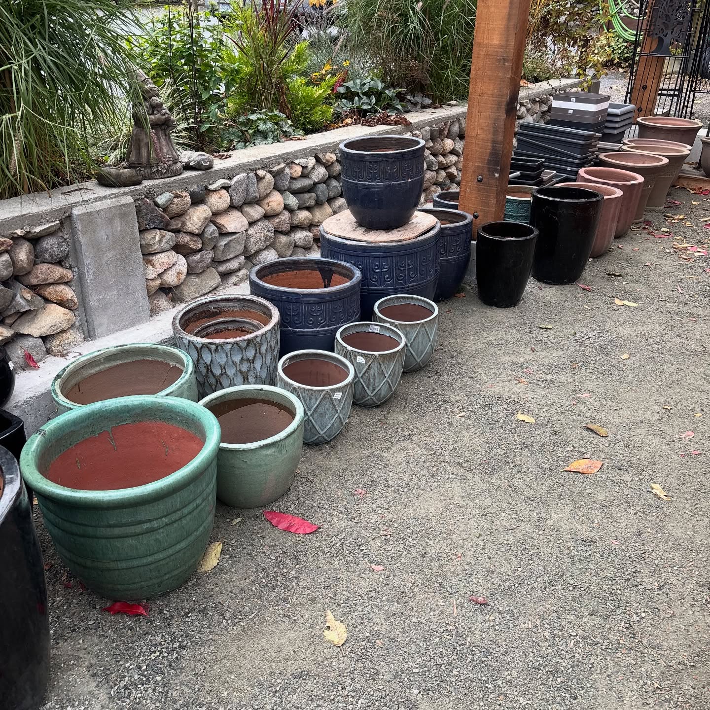 🪴All pots are on 35% off ‘til we close Sunday!
Big ones, little ones, fancy glazed ones. All waiting to be adopted before we go dormant for the season.
If you’ve been eyeing that perfect pot for your porch or dreaming up a winter planter, now’s the moment. Once they’re gone, they’re gone (and we’re off for a long nap).
Come grab a deal, dodge a few puddles, and say hi before we pack up the pruners.
🌧️☀️ It’s the Sunshine Coast, we’re used to both.
#SunshineCoastNursery #ShopLocalBC #SunshineCoastBC #GardenCentre #PotSale