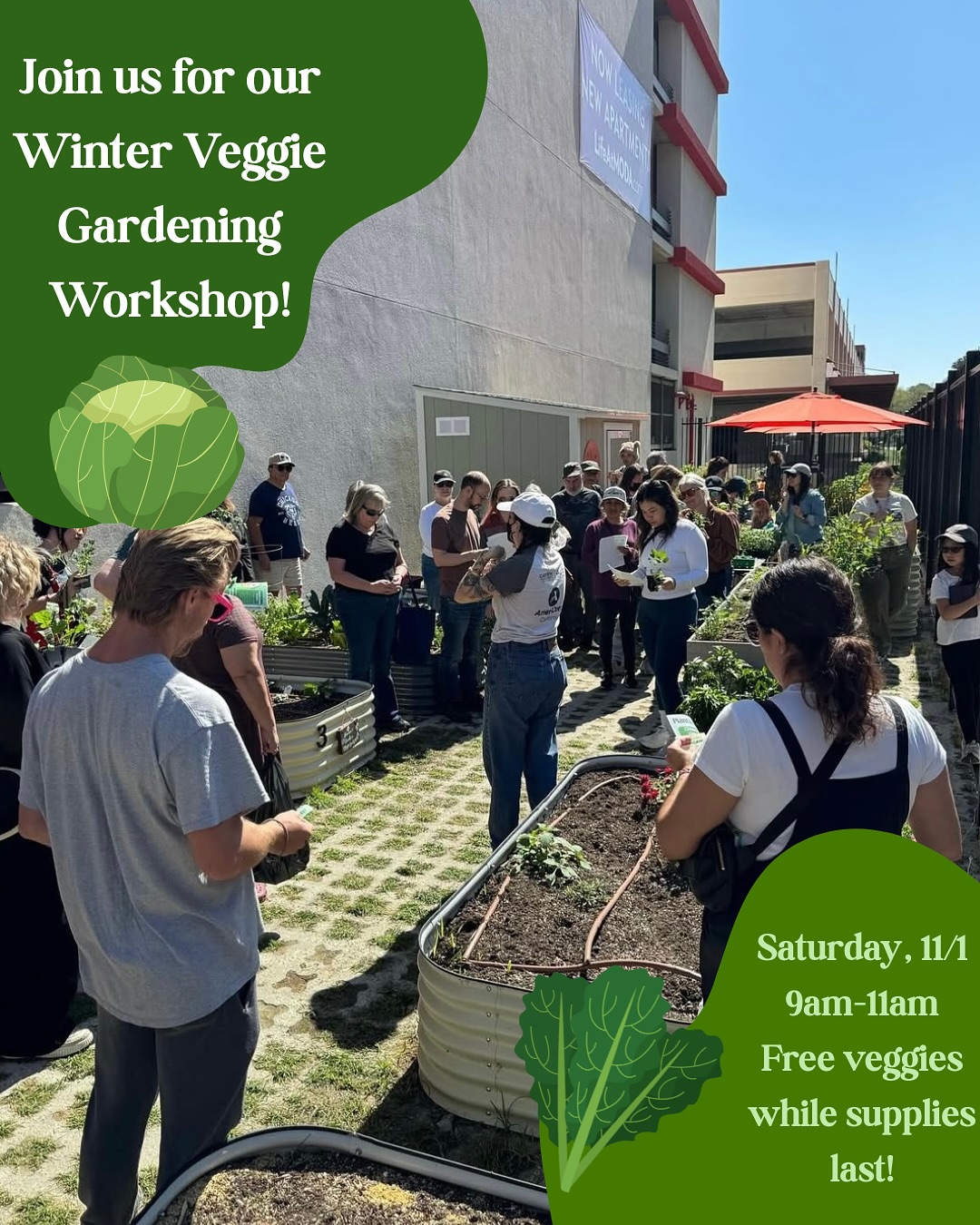 Join us for our November workshops! 🌱
🥬🫛This Saturday, 11/1, we’ll be highlighting winter veggies & answering all your questions about your winter garden! We’ll also be giving away free plant starters while supplies last, so come on by to Monrovia Community Garden South at 1650 S Magnolia Ave from 9am-11am to learn about winter gardening and go home with some free plants! 🌱🥦
🎁🌿 On Saturday, 11/15, we’ll be hosting a DIY garden gifts workshop! This workshop will teach you all you need to know about DIY garden gifts this holiday season, with giveaways to make your own! We hope to see you there at 303 W Colorado Blvd from 10am-11:30am! 🛍️
.
.
.
#monrovia #communitygarden #sangabrielvalley #communityworkshop #communitygardens