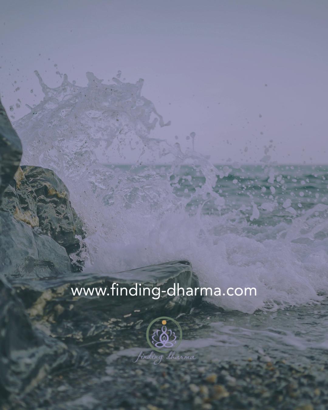 What might begin to change in your life if you no longer carried shame as your teacher?
Shame is one of the most deeply buried emotions we carry.
By its nature, it demands secrecy and repression ...
of our feelings, our truth, and our most authentic desires.
โก๏ธ Come join me on Thursday, November 13th | via Zoom,
as we gently explore shame โ its origins, its function,
and the wisdom it holds for us on our soul journey.
๐ฟ Link in bio to join.
#findingdharma
#HealingShame
#EmotionalHealing
#ShadowWork
#InnerHealing
#HealingJourney
#SelfCompassion
#SelfAcceptance
#EmotionalAwareness
#HealingThroughAwareness
#SoulJourney
#SpiritualGrowth
#SoulHealing
#SoulWork
#ConsciousAwakening
#HealingThroughLove
#AwakenYourSoul
#SoulJourneyGathering
#SpiritualCommunity
#OnlineHealingCircle
#TransformationJourney
#InnerFreedom