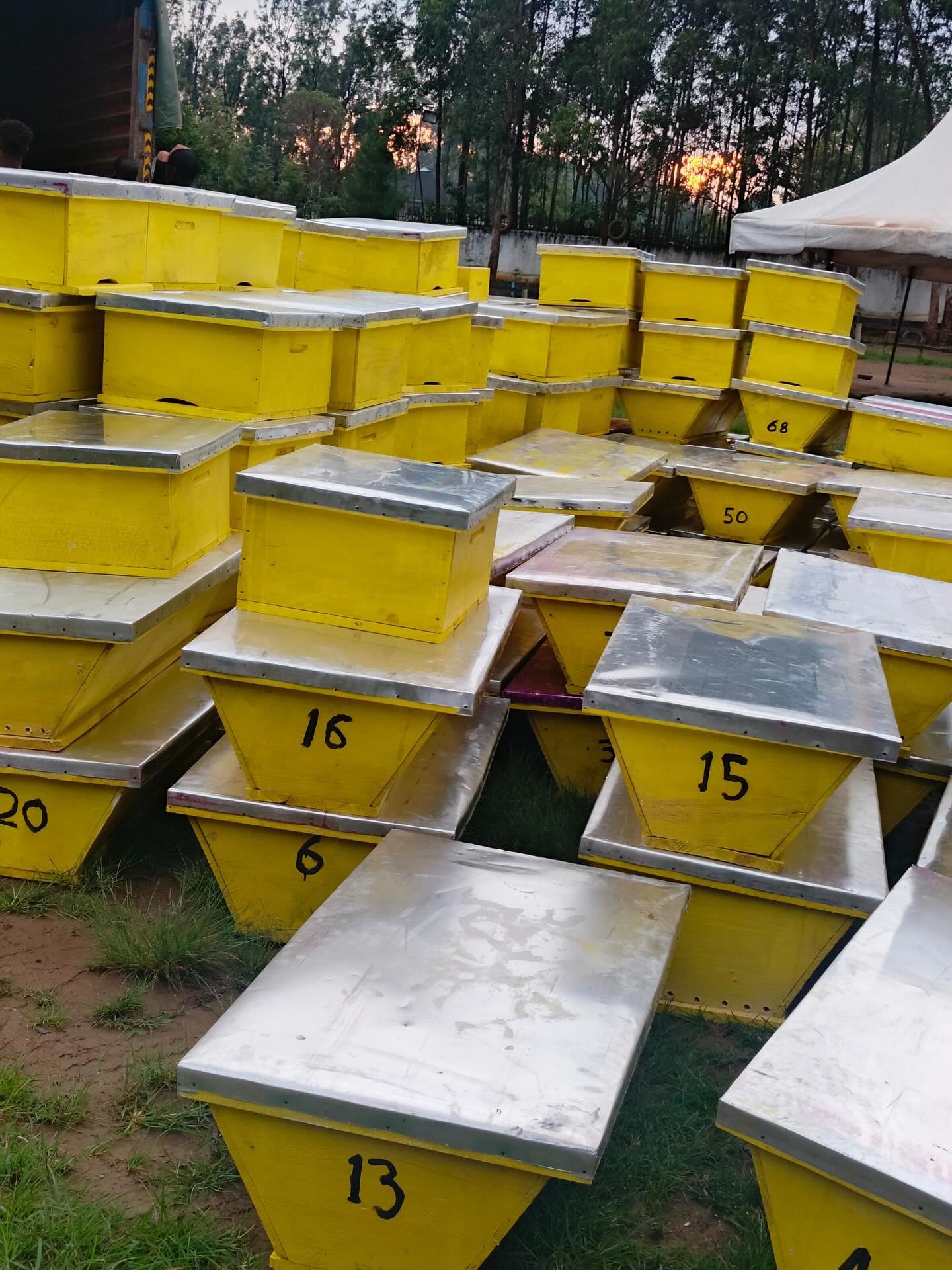 Something sweet is in the works… 🍯
We’ve been working behind the scenes on a project we cannot wait to share with you. Stay tuned — the buzz is just getting started. 🐝✨
#comingsoon #beehiveproject #staytuned #honeylove #bigannouncement