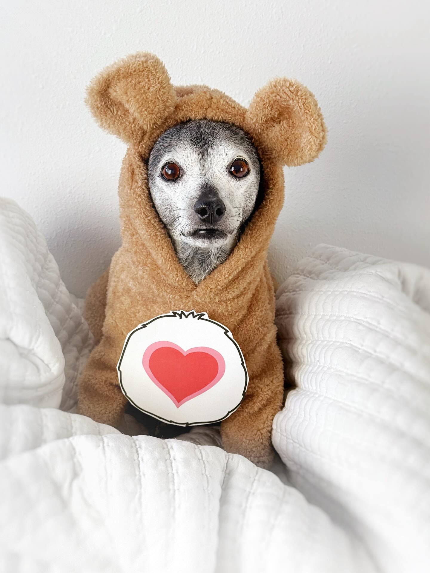 Happy Halloween from the Care Bears. Headed to a costume party! Everyone be safe out there! 🎃👻