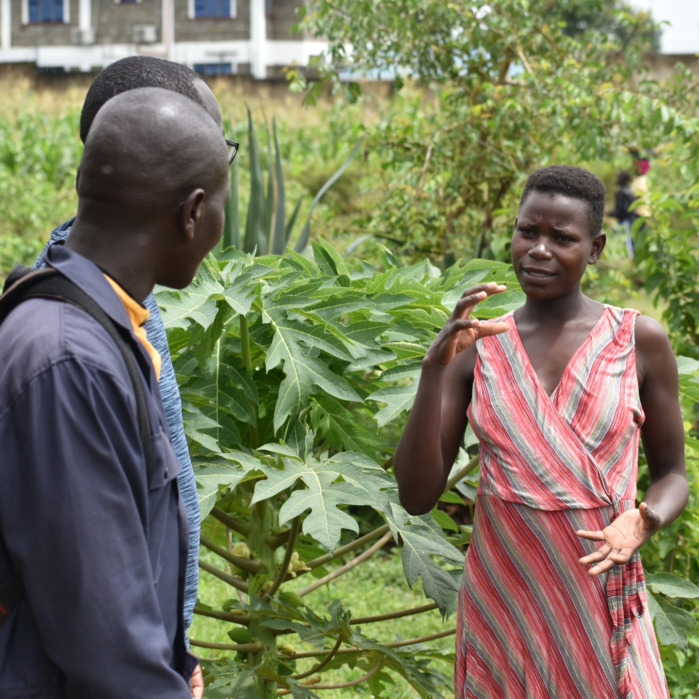 Women empowerment is key on matters permaculture and that is what we do best.