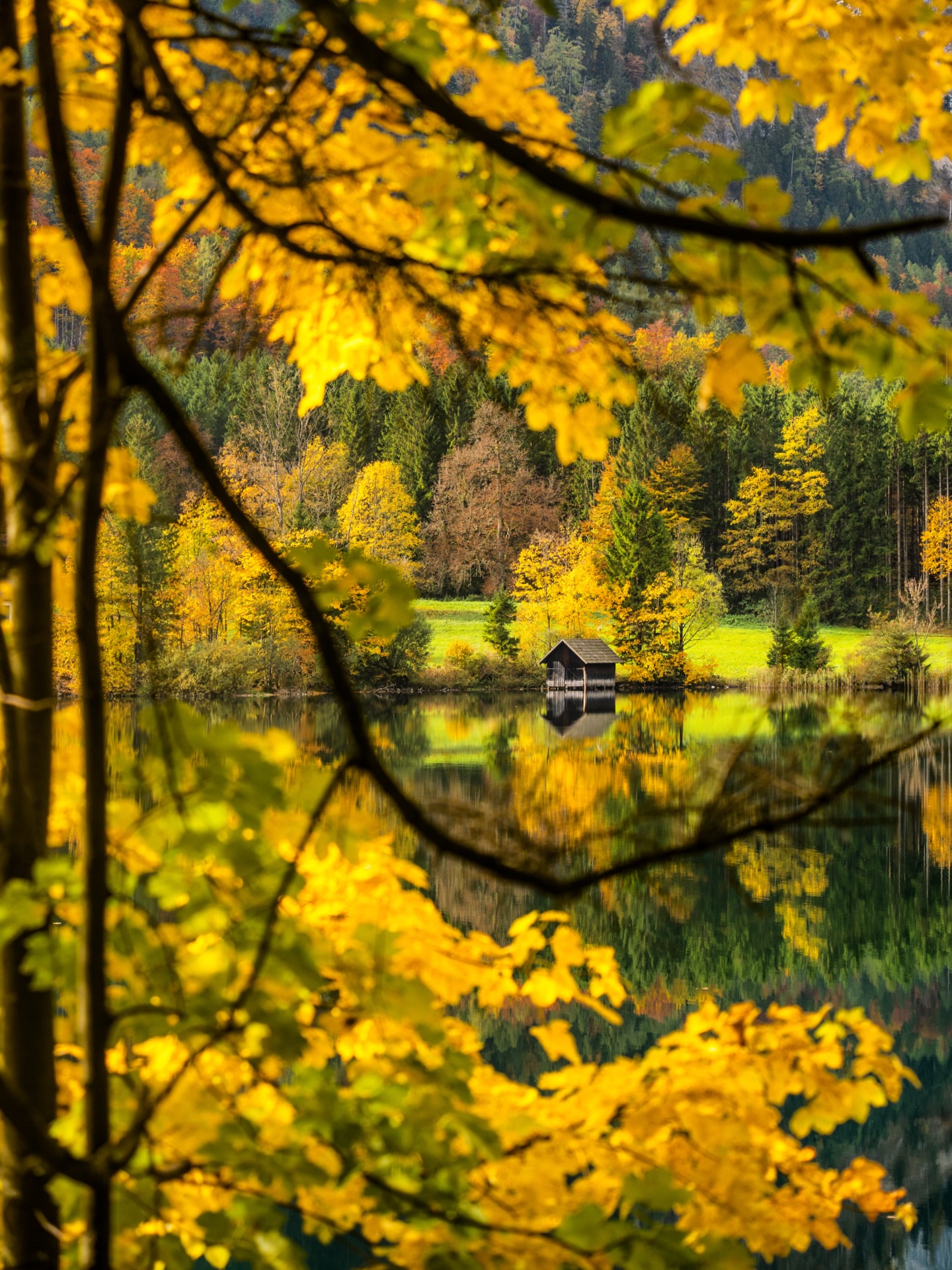 G o l d e n 🍂 Kommt das nur mir so vor oder ist dieser Herbst besonders bunt? Ich könnte den ganzen Tag die Bäume fotografieren 😅
.
.
.
.
.
#herbstliebe #fotoliebe #beidesvereint