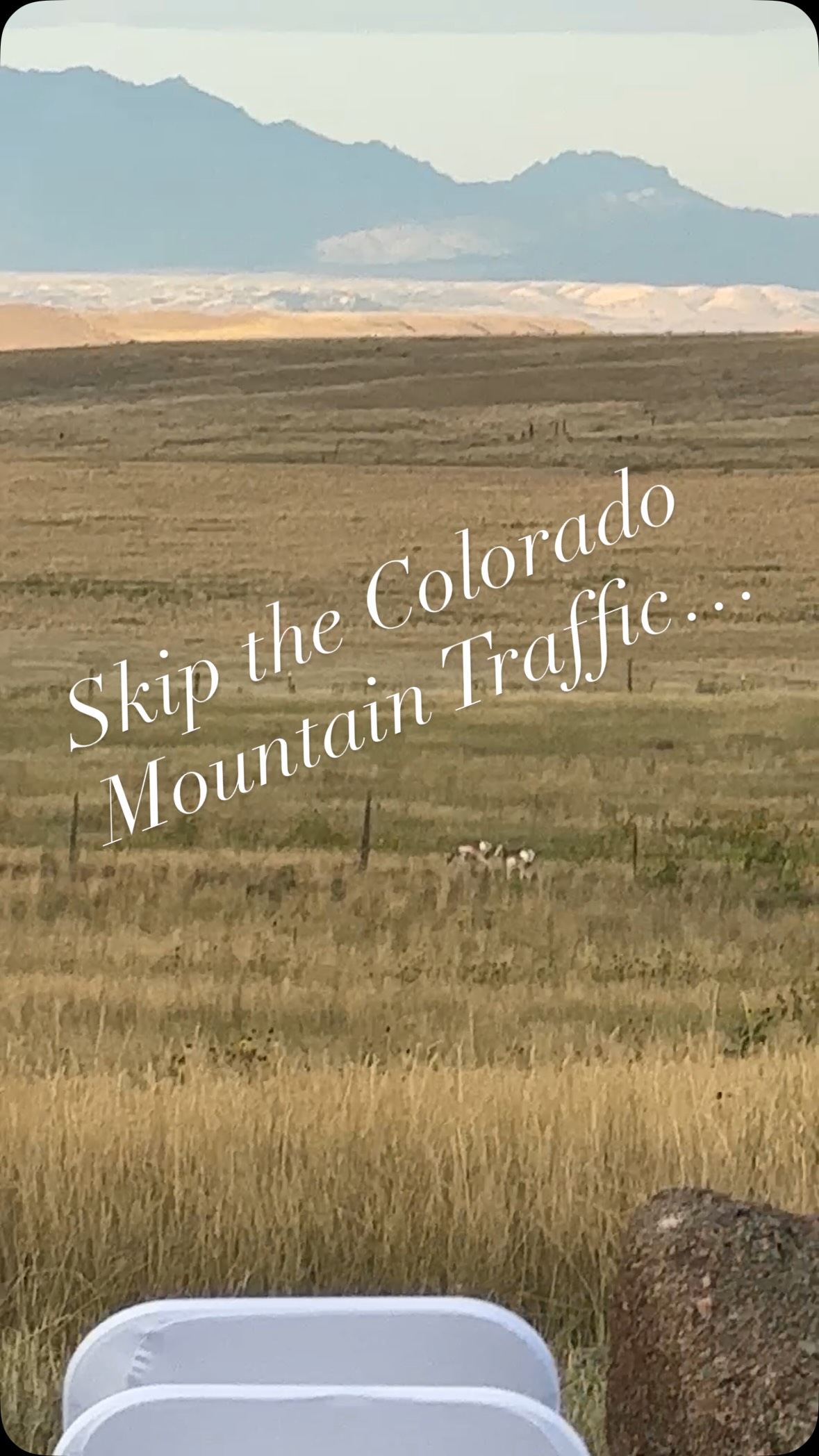 NEW Airbnb wedding venue! Skip I-70 traffic and the stress — your mountain wedding doesn’t have to come with gridlock.
Our venue near Glendo Reservoir delivers elevated views, open skies, and zero I-70 delays.
Less traffic. More “I do.” 💍
🔗www.wavesofwyomingweddingsandevents.com
#WavesOfWyoming #WyomingWeddings #DestinationWithoutTheDistance #ColoradoToWyoming
#glendoreservoir #mountainlove #destinationweddings #wyoming #destinationwedding #bridetobe #newvenuealert #nocobrides #wyoming #glendoreservoir #destinationwedding #destinationweddings #bridetobe #wavesofwyoming #newvenuealert #visitwy #coloradomountaintraffic #traffic #i70colorado #rockymountainweddings