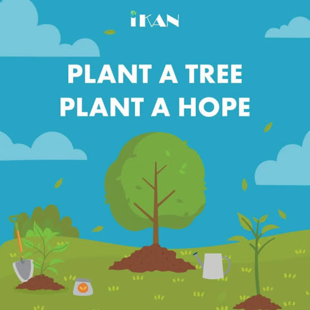 Planting Trees, Planting Hope
When we plant trees, we plant hope. We plant the dreams of children who deserve clean air to breathe. We plant faith in a future where humanity and nature live in harmony. We plant resilience against the storms that threaten our shared home.
Treetrom Foundation is committed to turning compassion into a movement. Through tree planting, education, and community empowerment, we are building a global culture of environmental responsibility that begins with one seed and grows into forests of change.
Let every tree be a reminder that we have not given up on tomorrow.
#TreetromFoundation #PlantHope #GreenFuture #EnvironmentalAwareness #TogetherWeGrow