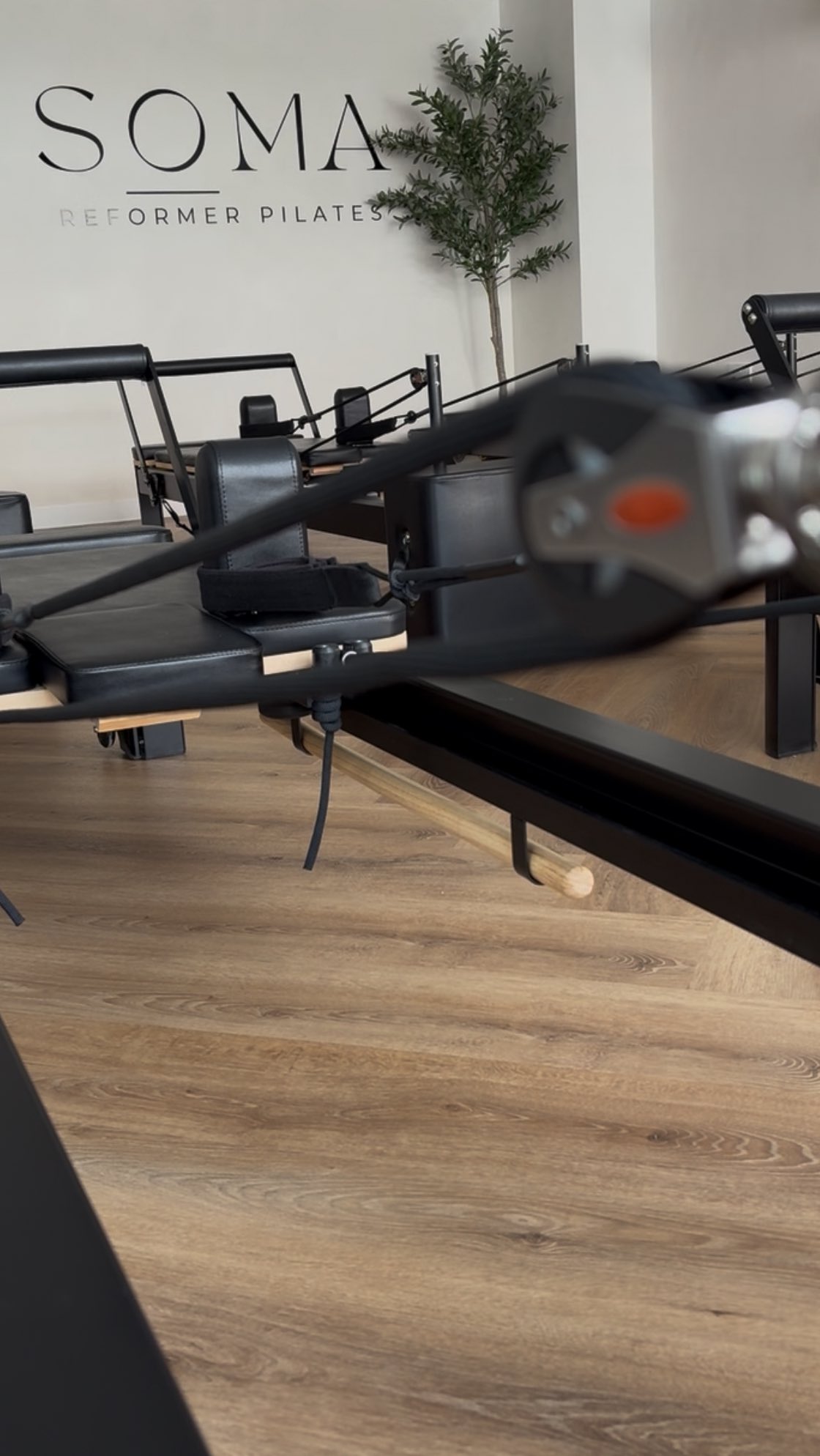 Life keeps moving and so do we.
Some of you just got married, some started a new job, some quit one, and some are celebrating birthdays or new beginnings (and sometimes endings) ...
Whatever’s happening in your world right now we’re just so happy you’re here with us.
We see you showing up through the highs, the changes, the chaos, and the calm.
You come to move, to breathe, to reset… and it means the world to us.
No matter what’s going on outside the studio, you always have a place here.
A space to reconnect, to feel strong, and to take a moment just for you.
We’re so grateful for this community thank you for being part of it.
#SomaMovement #ReformerPilates #AshtonreformerPilates #PilatesCommunity