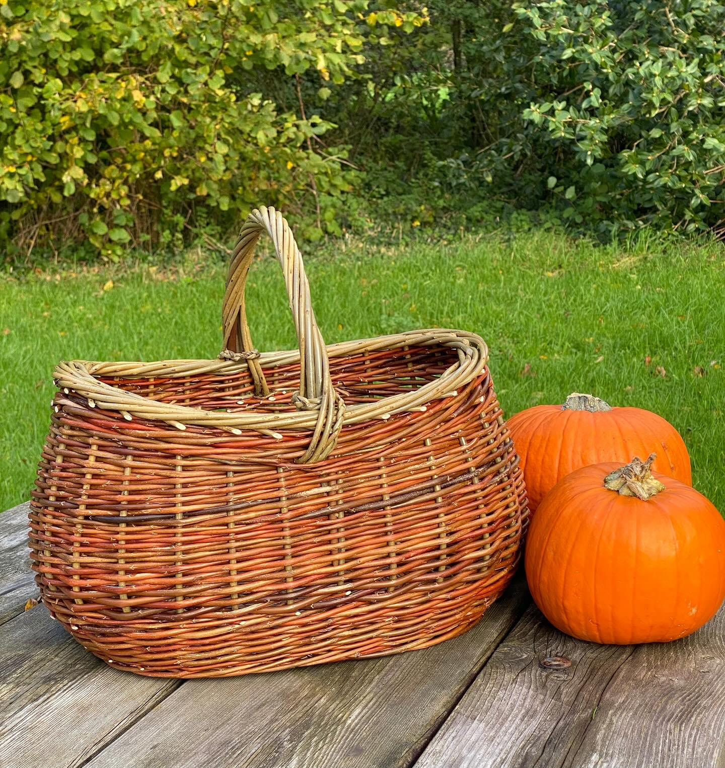 Embracing all the shades of orange today with a basket made with Flanders red and Dickie meadows willows .
Now I notice my basket matches my pumpkins so here they all are in harmony! Next stop, pumpkin carving 🎃
Happy Halloween !