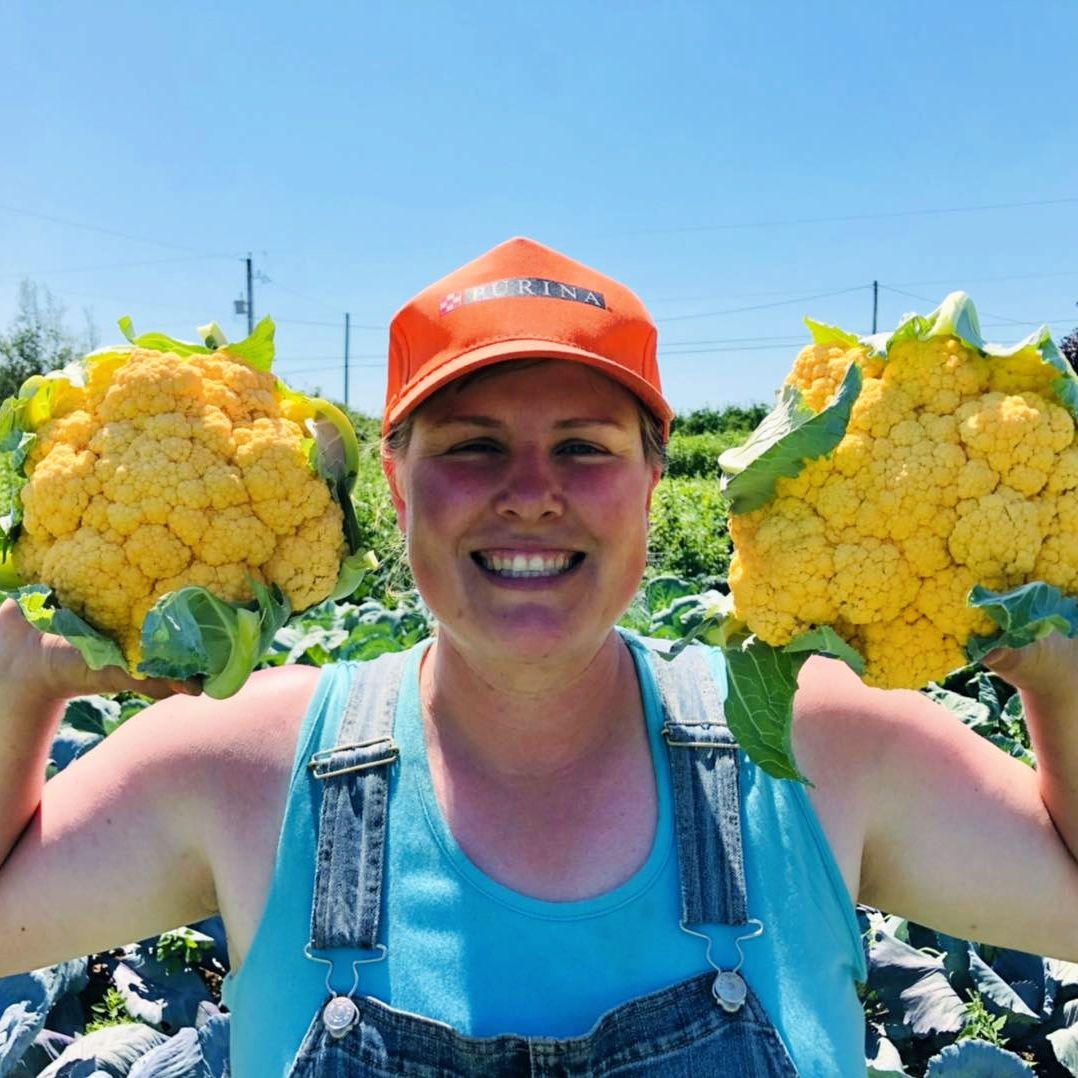 It's that time of year again that the Medford CSA comes to an end. The final distribution for this year will be this Wednesday Nov. 12th. Despite the drought, it was a great summer full of HUGE organic veggies from the CSA. â
â
Just because winter is coming, doesn't mean local produce has to end! We have a Flexible Farm Box you can subscribe to. The flexibility of this subscription means you can either set it and forget it or alter the items each week. You can find the Flexible Farm Box under the Subscriptions tab on the WFM2Go website.â
â
Eat with the seasons. Support your farming community. Simplify your week. â
â
â
#wolfvillefarmersmarket #wolfville #annapolisvalley #novascotia #farmersmarket #wfm2go #shoplocal #eatlocal #buylocal #supportlocal #freshproduce #community #letsdothis