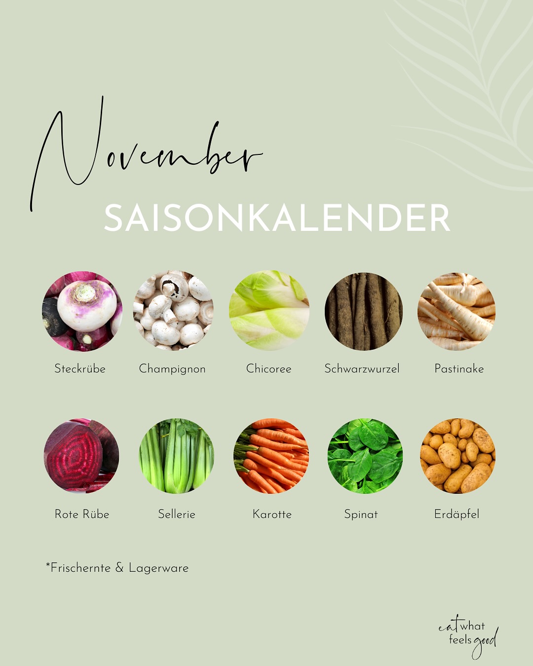 Das gibt's regional & saisonal im November 🥬🌿
Ich liebe ja alle Herbstgemüsesorten 😍!
Auch, wenn es dann schon etwas Kohl-lastig werden kann 😇!
In meinem Blogartikel könnt ihr alles über den Saisonkalender November nachlesen, inkl.
- meine TCM Favoriten im November
- warum Kohlsprossen (Rosenkohl) Immunbooster sind
- Was die Farbe im Rotkohl Tolles kann & wie man damit "Zaubersuppe" macht
- warum Fenchel ein besonderer Verdauungshelfer in kalten Zeiten ist
Worauf freut ihr euch im November am meisten 💬?
#saisonkalender #saisonkalendernovember #november #regional #saisonal #eatregional #ernährung #tcmernährung #5elemente #eatwhatfeelsgood